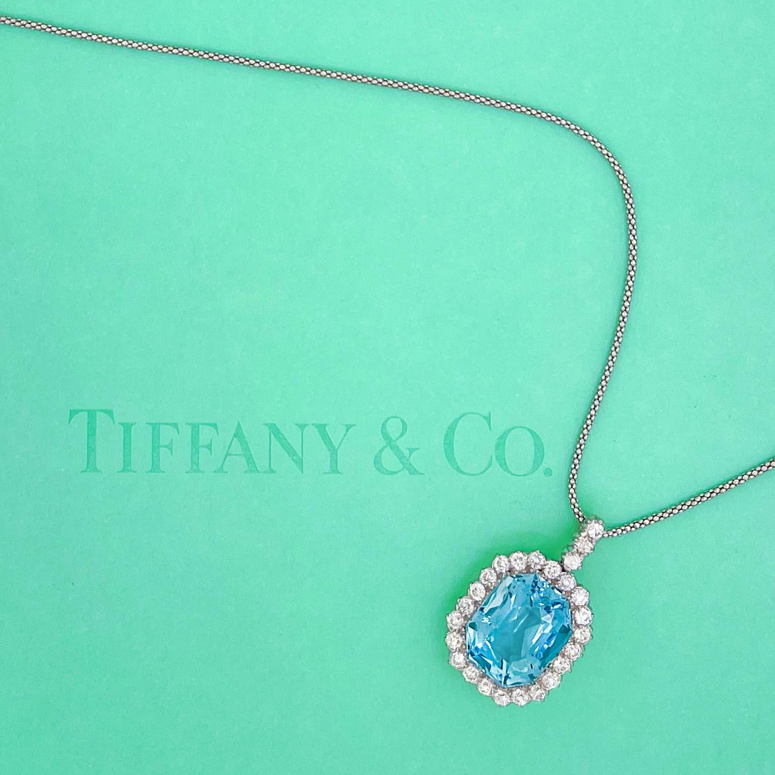 Spectacular Tiffany & Co. Pendant/Brooch 18k/Plat. c1910 New York 6