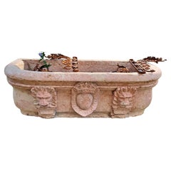 Spectacular Verona Red Marble Bathtub 19th Century