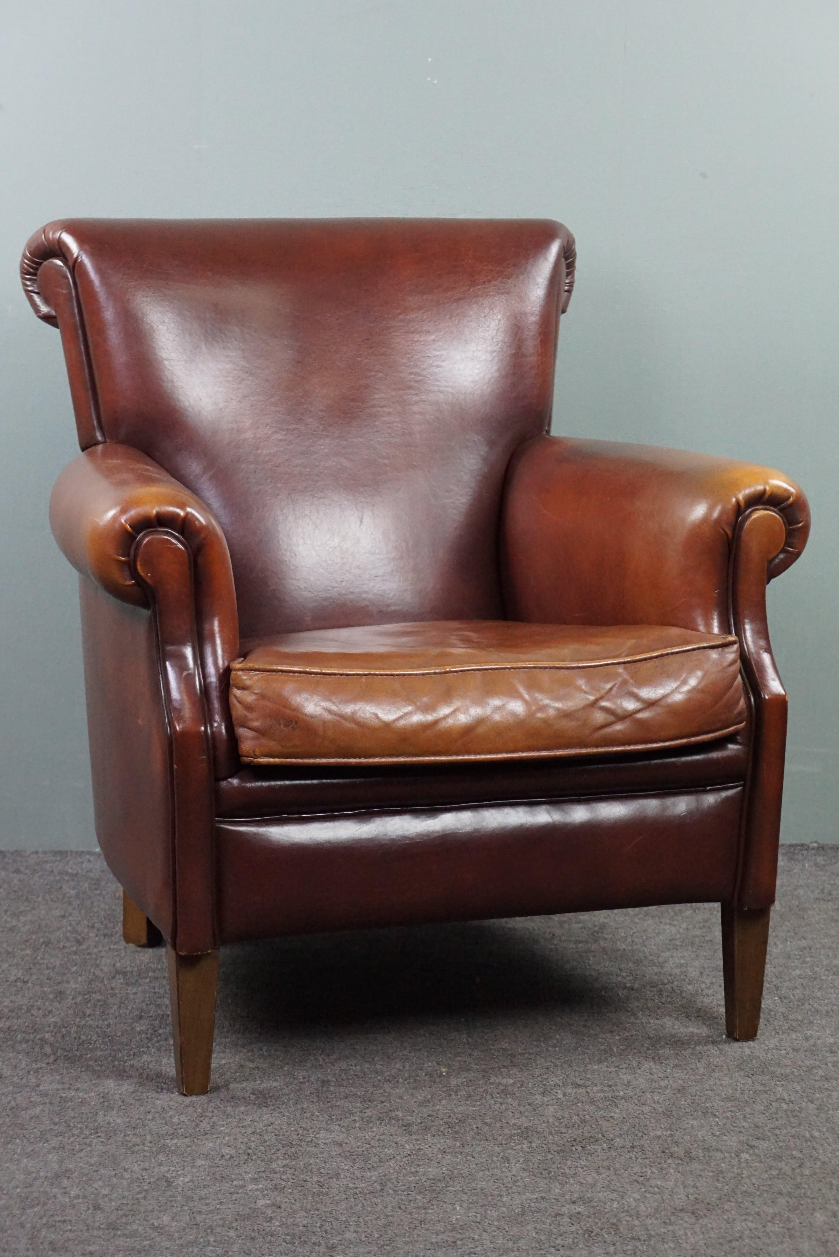 Spectacularly beautiful colored sheepskin leather armchair. In Good Condition For Sale In Harderwijk, NL
