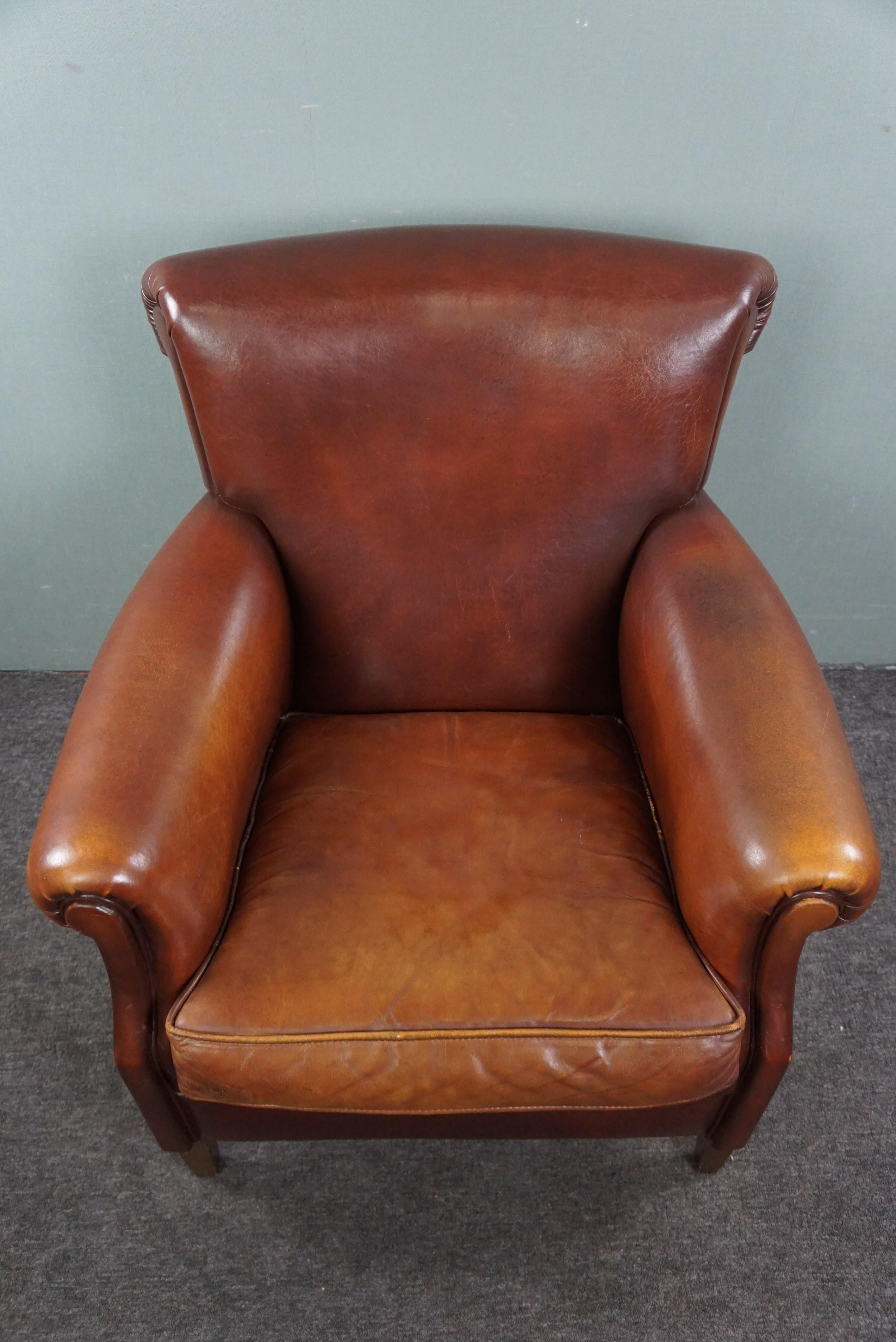 Spectacularly beautiful colored sheepskin leather armchair. For Sale 2