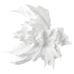 Spectra Wall Panel Gloss White Limited Edition 6/15