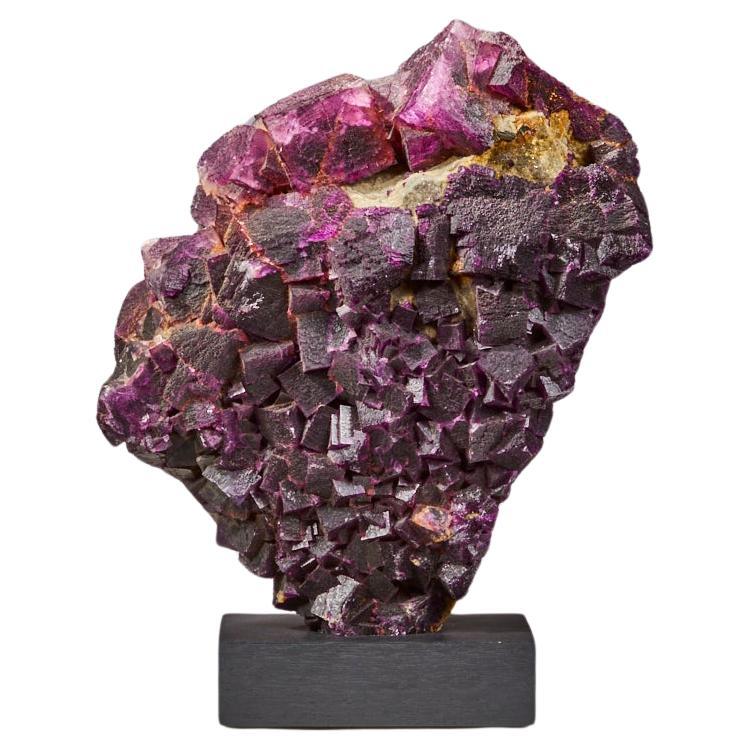 Spectral Symphony: Multi-Colored Fluorite from the USA