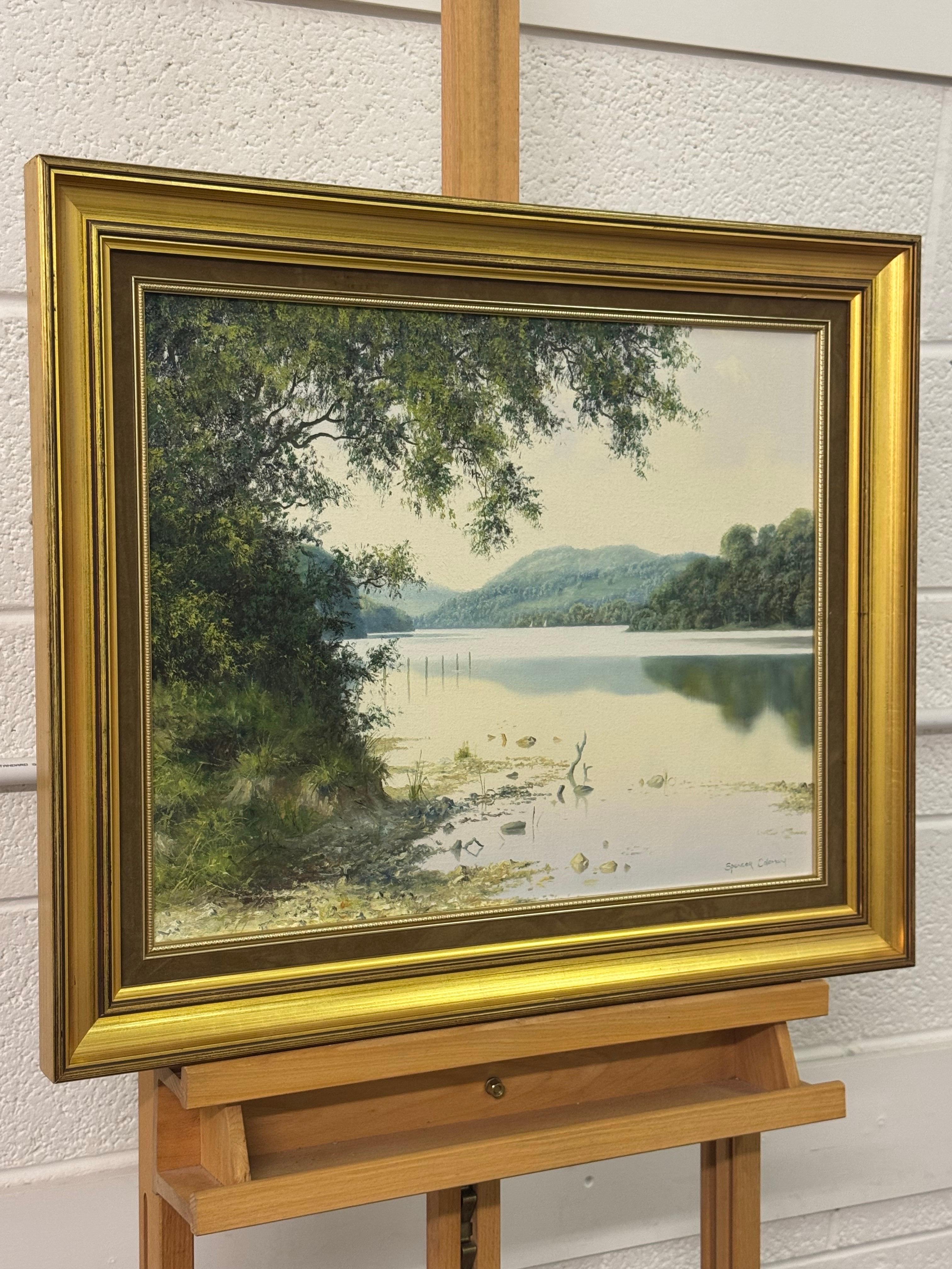Le lac Castlewellan en Irlande du Nord par un artiste britannique du 20e siècle - Painting de Spencer Coleman