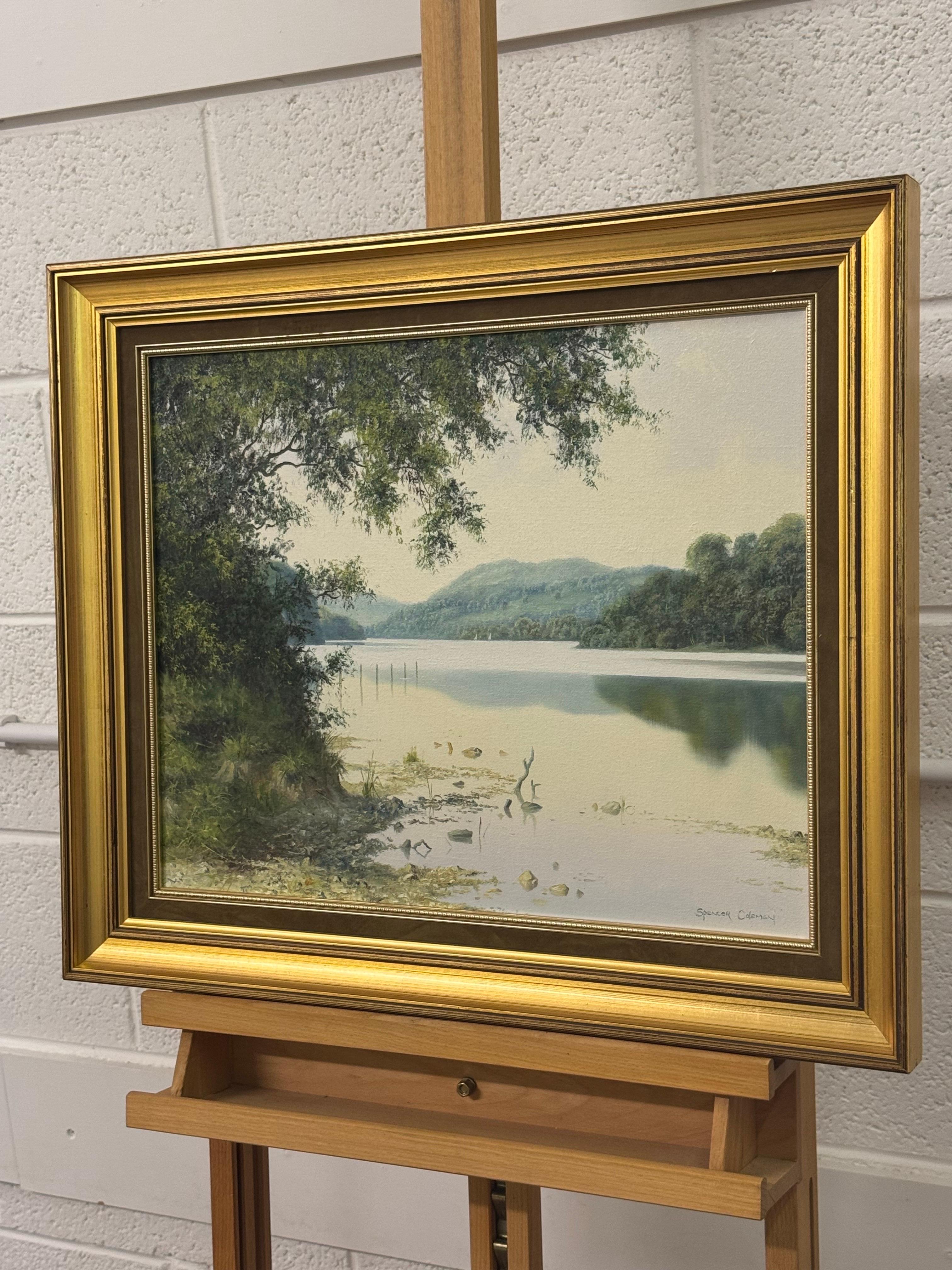 Le lac Castlewellan en Irlande du Nord par un artiste britannique du 20e siècle - Marron Landscape Painting par Spencer Coleman