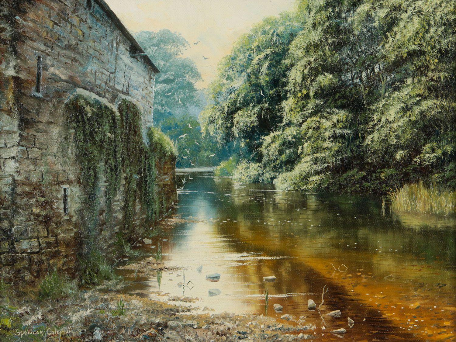 Gemälde einer schönen Flussssssszene mit Vögeln in einer ländlichen Landschaft in Irland – Painting von Spencer Coleman