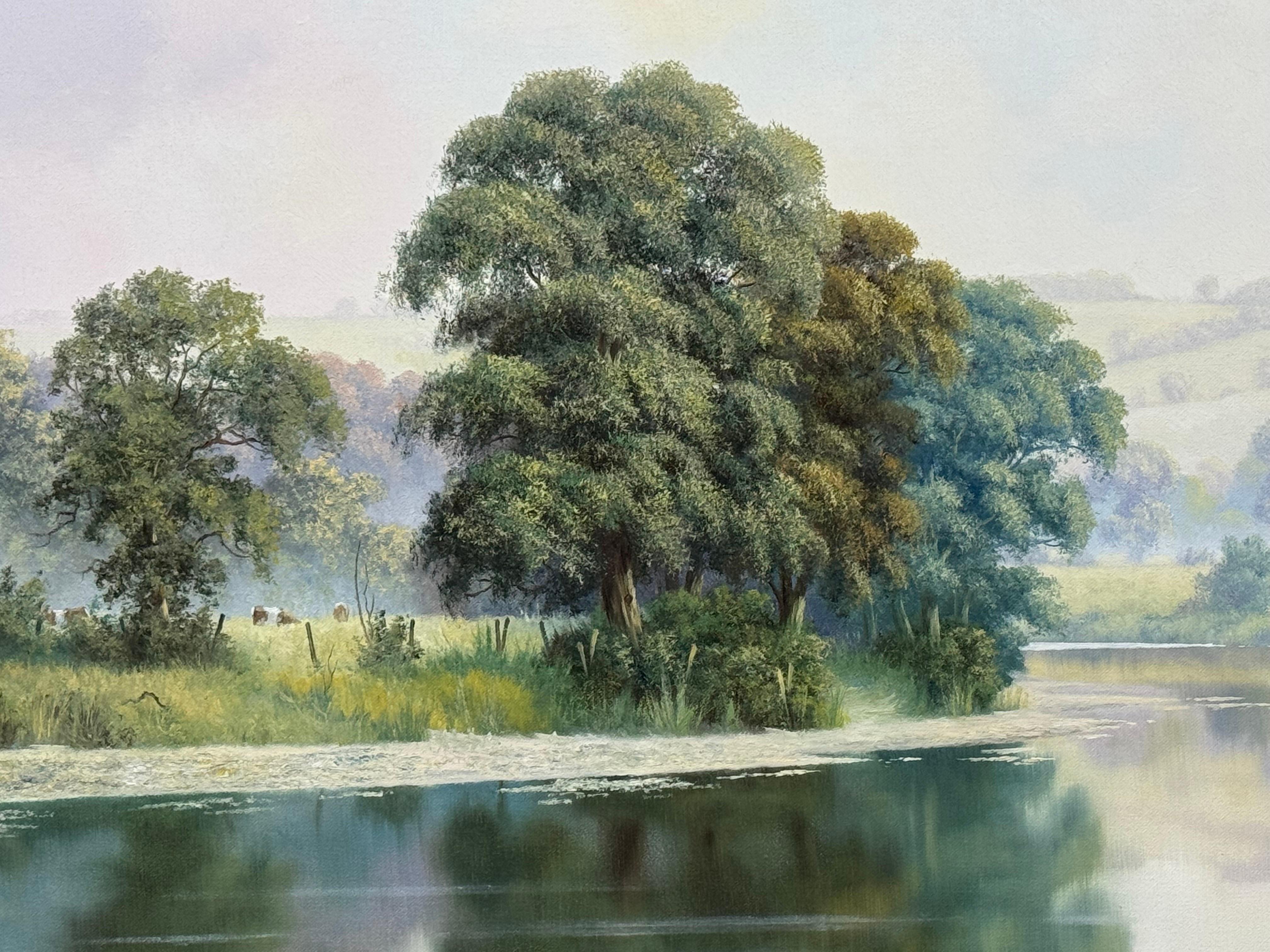 Apacible ribera brumosa en la campiña inglesa con vacas y reflejos de árboles en venta 5