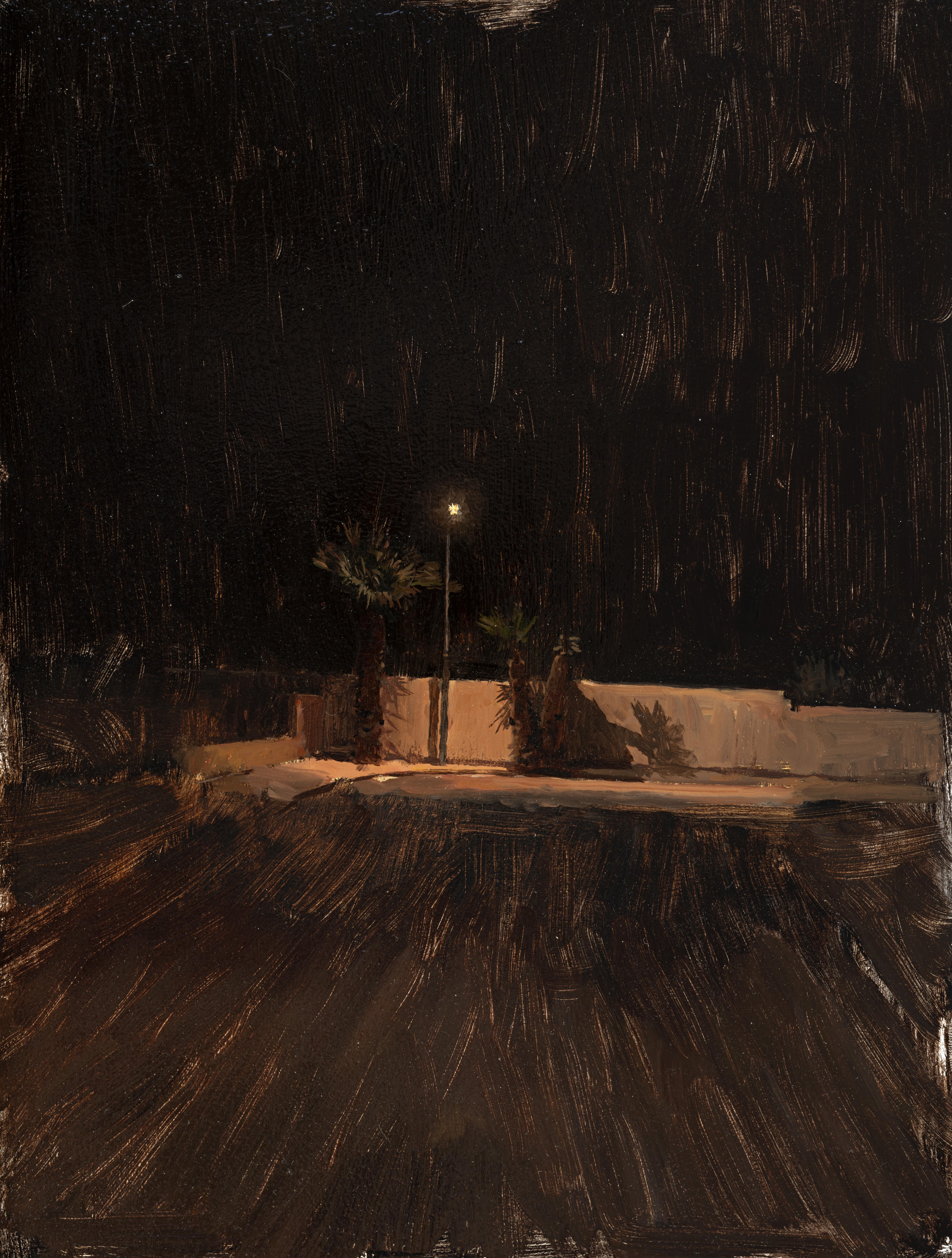 Spencer Simmons Landscape Painting - Late Night Palms 