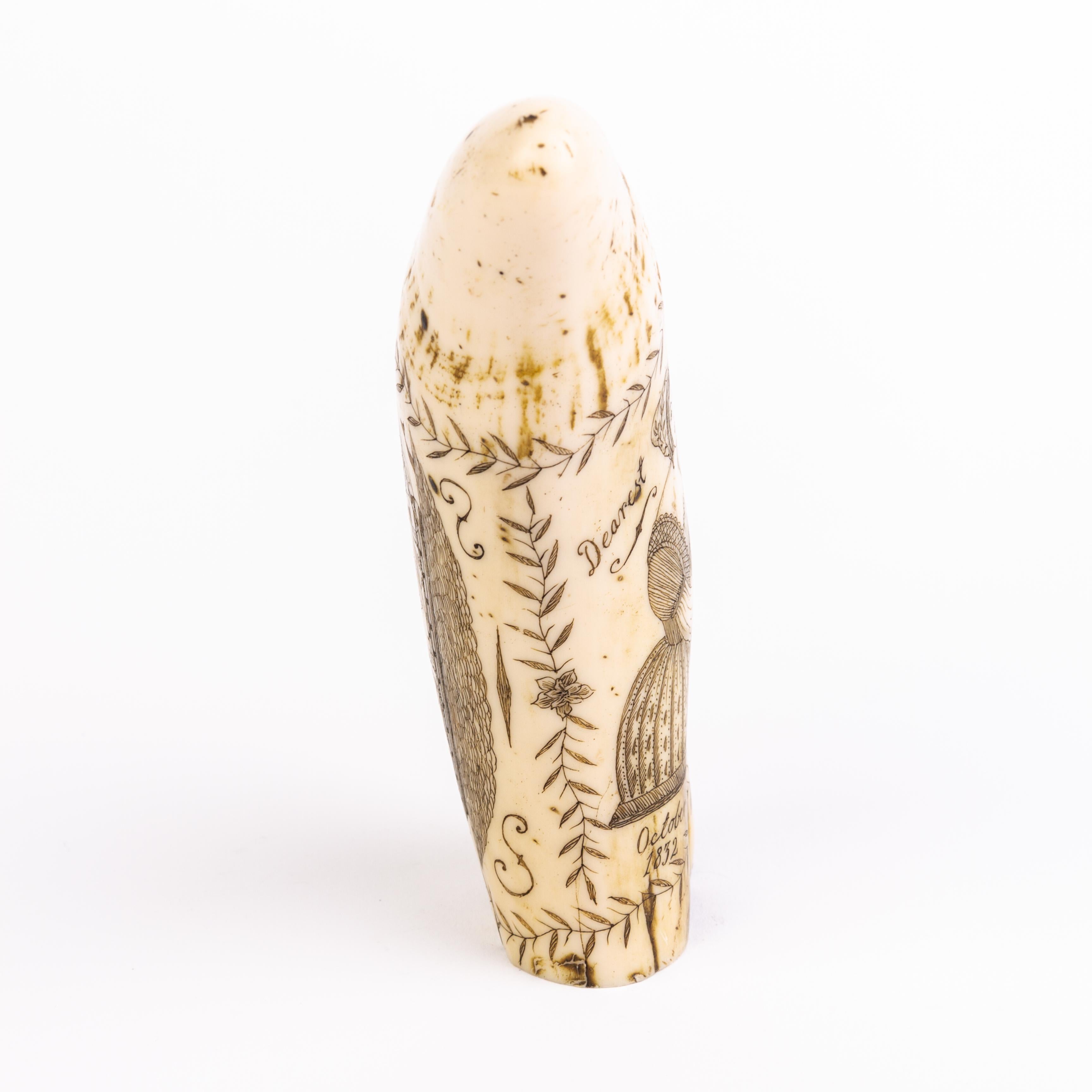 En buen estado
De una colección privada
Envío internacional gratuito
Cachalote Scrimshaw Diente de imitación náutica 