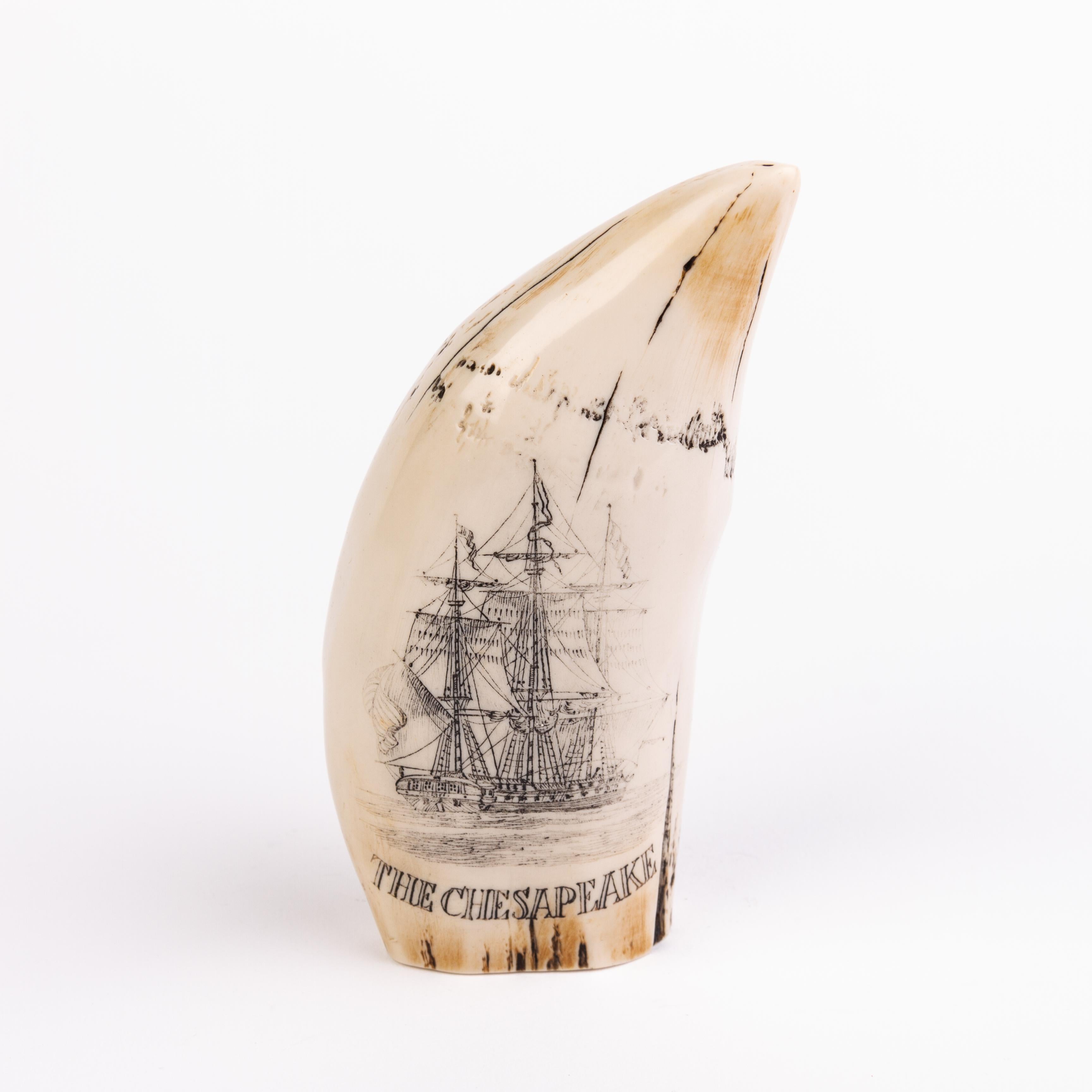 Sperm Whale Scrimshaw Nautical Faux Tooth  In Good Condition For Sale In Nottingham, GB