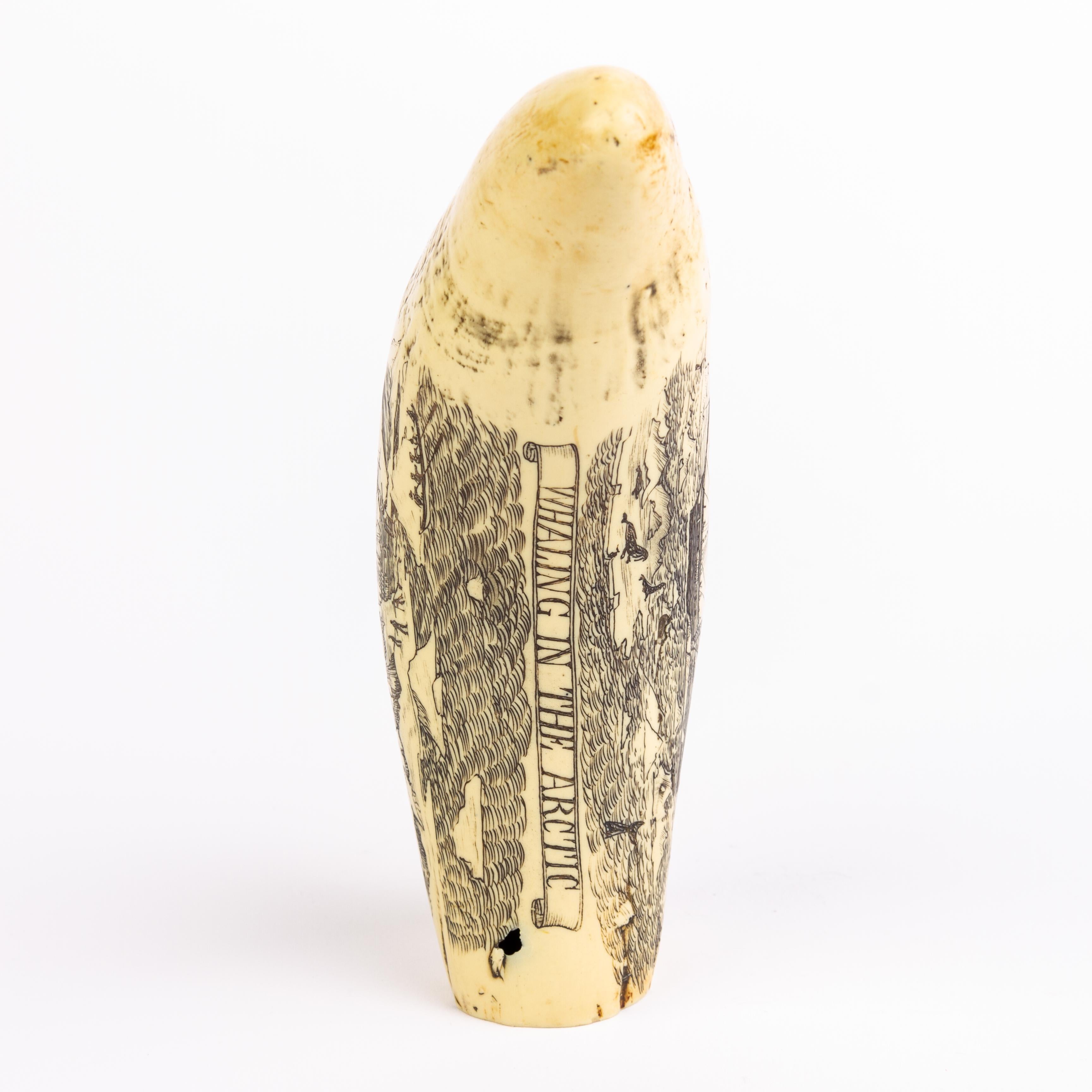 20th Century Sperm Whale Scrimshaw Nautical Faux Tooth  For Sale