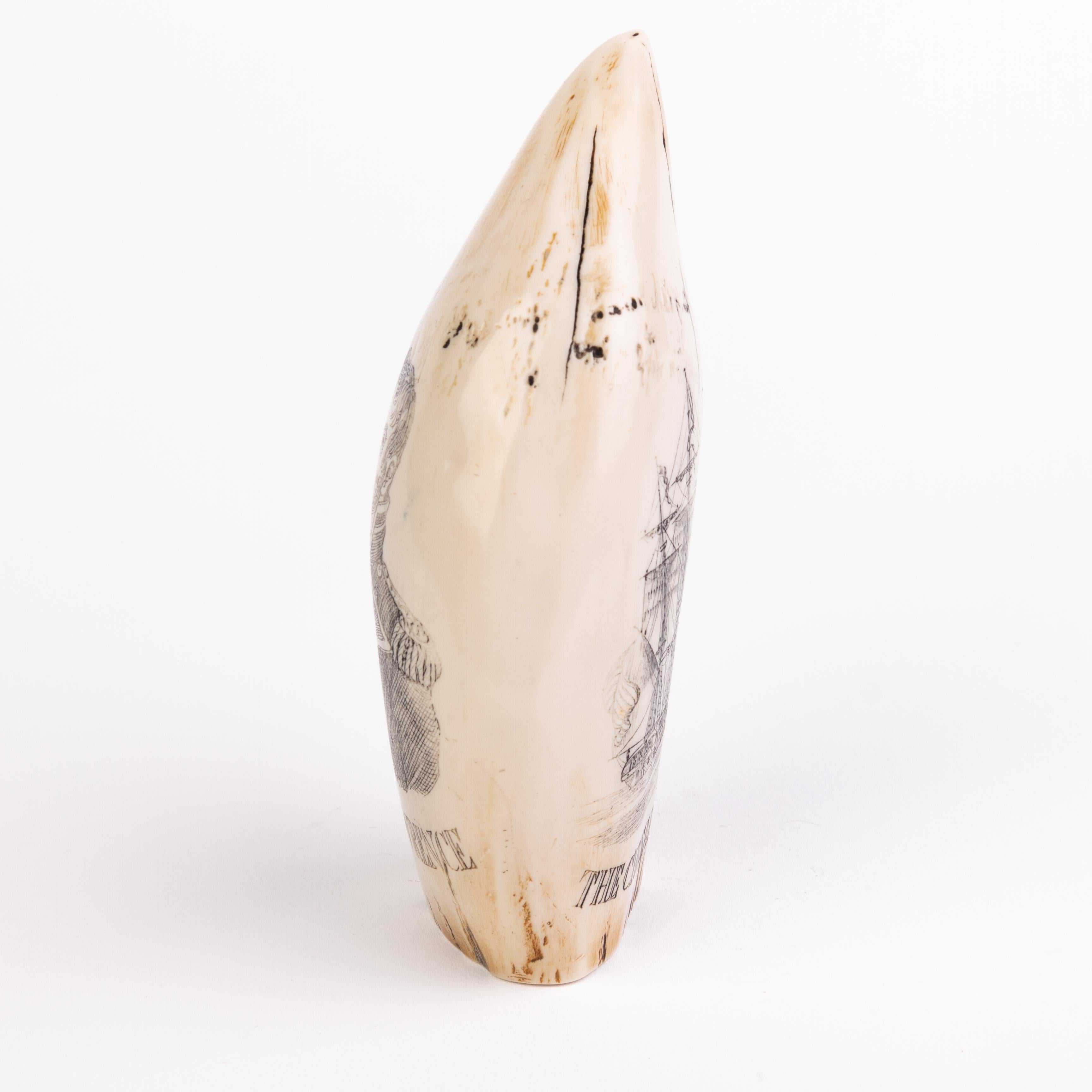 20th Century Sperm Whale Scrimshaw Nautical Faux Tooth  For Sale