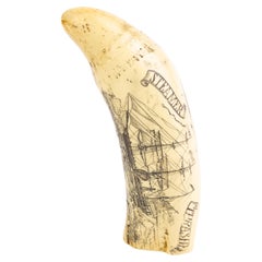 Sperm Whale Scrimshaw Nautical Faux Tooth 