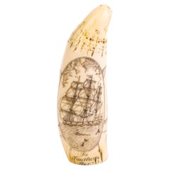 Vintage Sperm Whale Scrimshaw Nautical Faux Tooth 