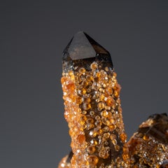 Spessartine Garnet on Smoky Quartz from Fujian Province, China