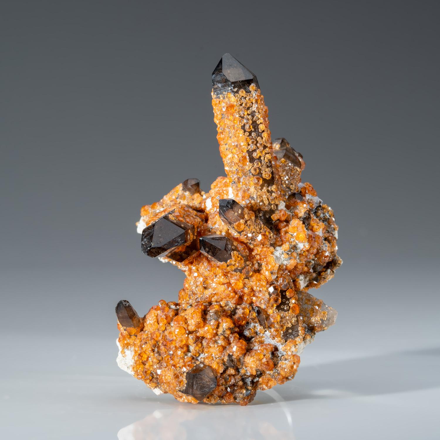 Contemporary Spessartine Garnet on Smoky Quartz from Fujian Province, China For Sale