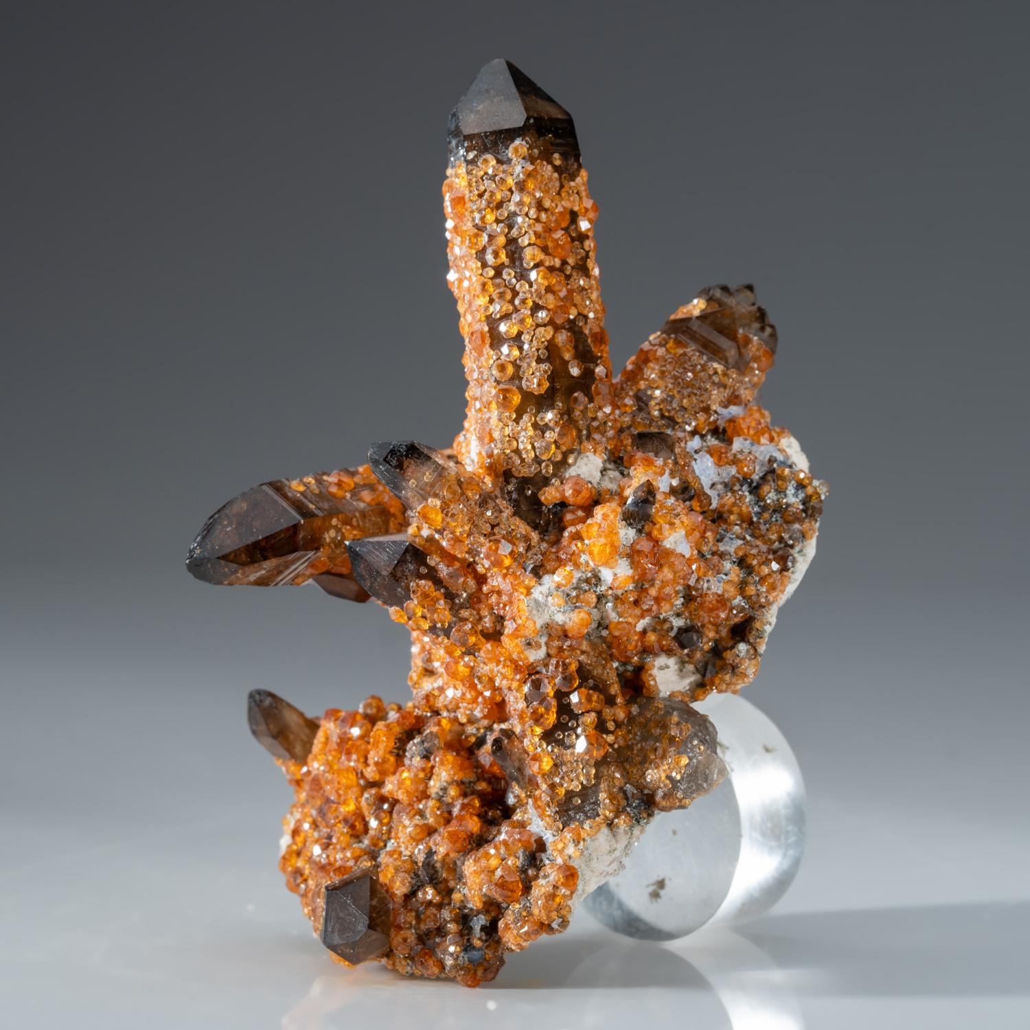 Crystal Spessartine Garnet on Smoky Quartz from Fujian Province, China For Sale
