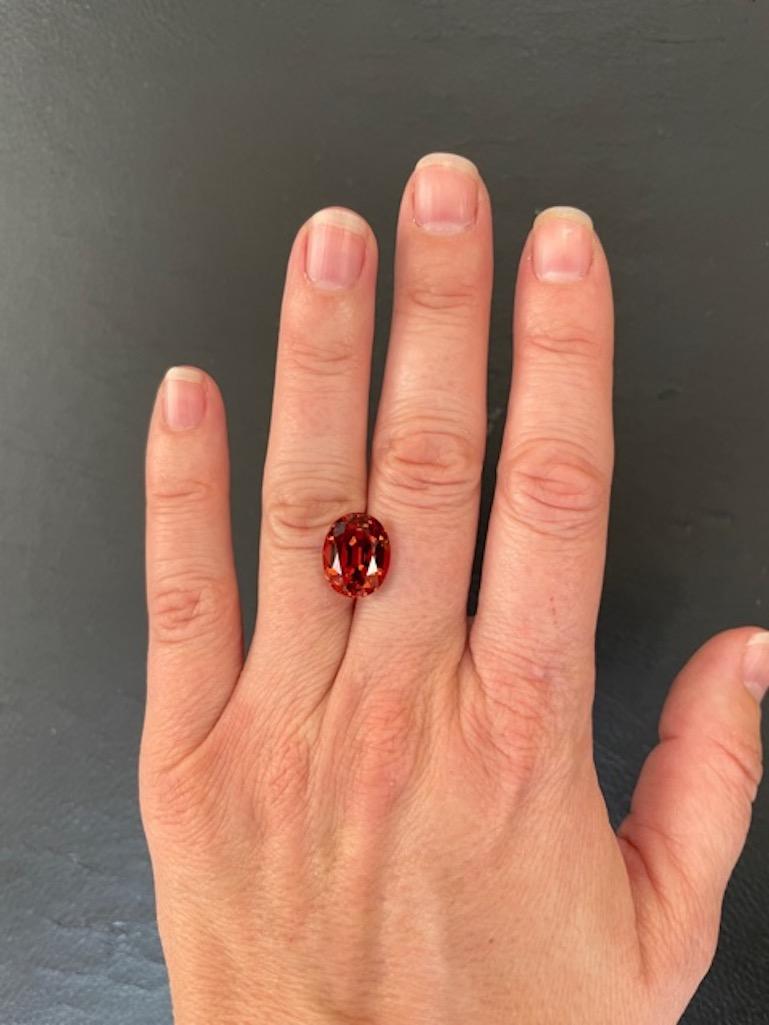Very impressive 10.49 carat Spessartite Garnet (Mandarin Garnet) oval gem, offered loose to a fine gemstone collector.
Returns are accepted and paid by us within 7 days of delivery.
We offer supreme custom jewelry work upon request. Please contact