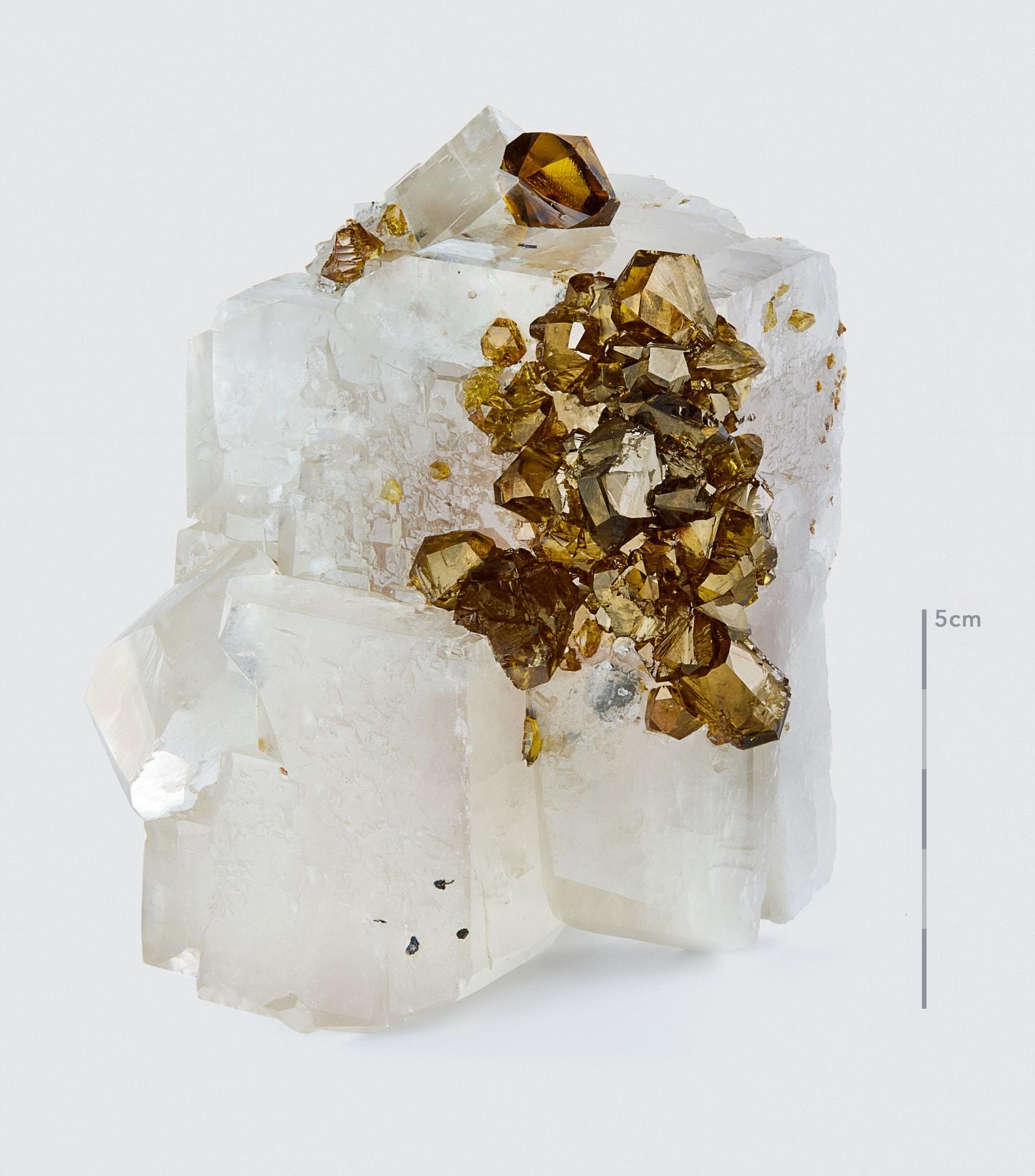 Sphalerit auf Calcit

Titan Mining Empire State Mine #4,
Newfold-Erzkörper, 3.981 Ebene, Balmat,
St. Lawrence Co. in New York, USA
11 cm hoch x 9,5 cm breit


Der Staat New York gilt gemeinhin nicht als Fundort für außergewöhnliche Mineralien. Umso