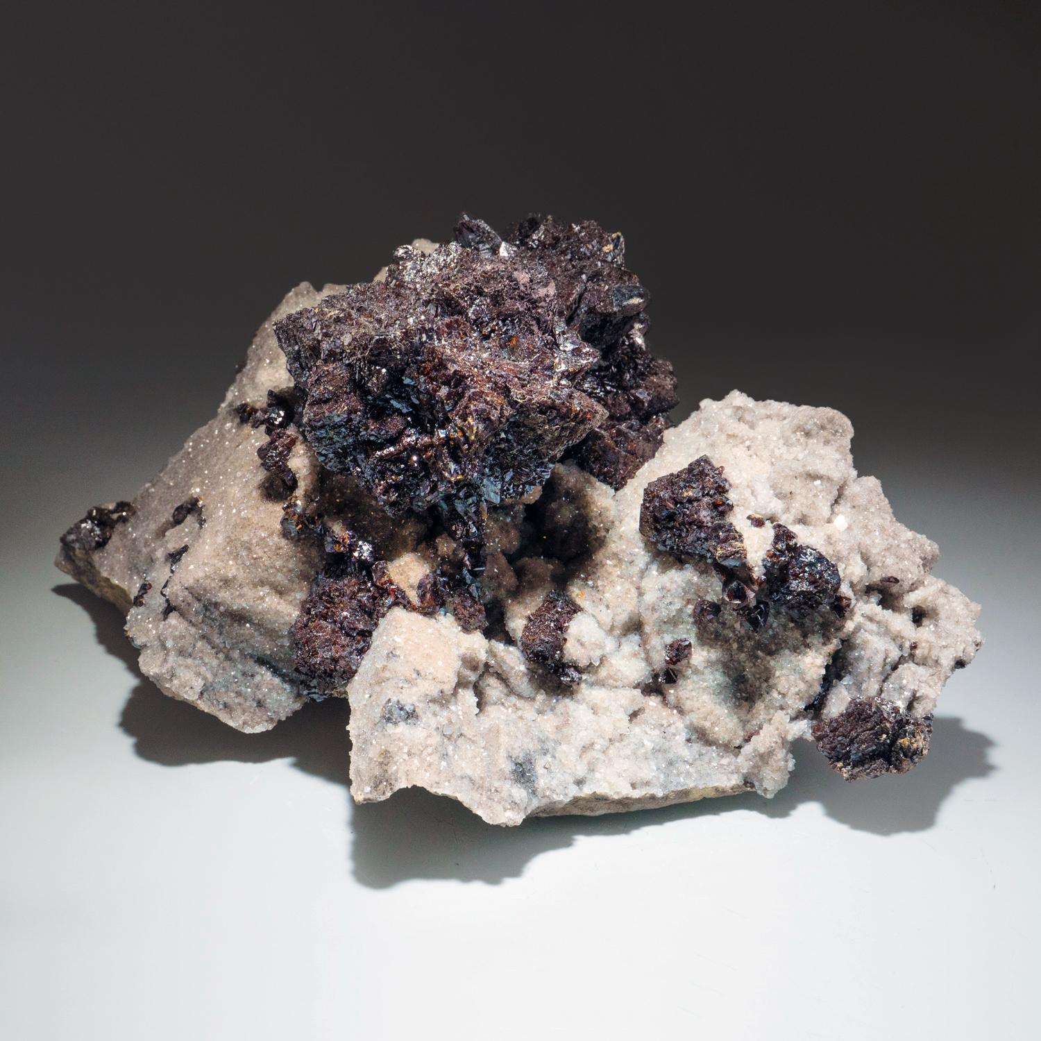 from Dalnegorsk, Primorskiy Kray, Russia Large cabinet specimen of a sparkling cluster of highly lustrous jet black sphalerite crystals in aggregates with rhombic dolomite crystals over small gray-brown quartz crystals atop limestone. The deep black