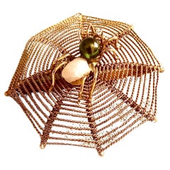 Spinnenwebbrosche
