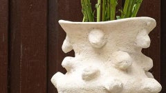 Spike Planter by Deetee Home