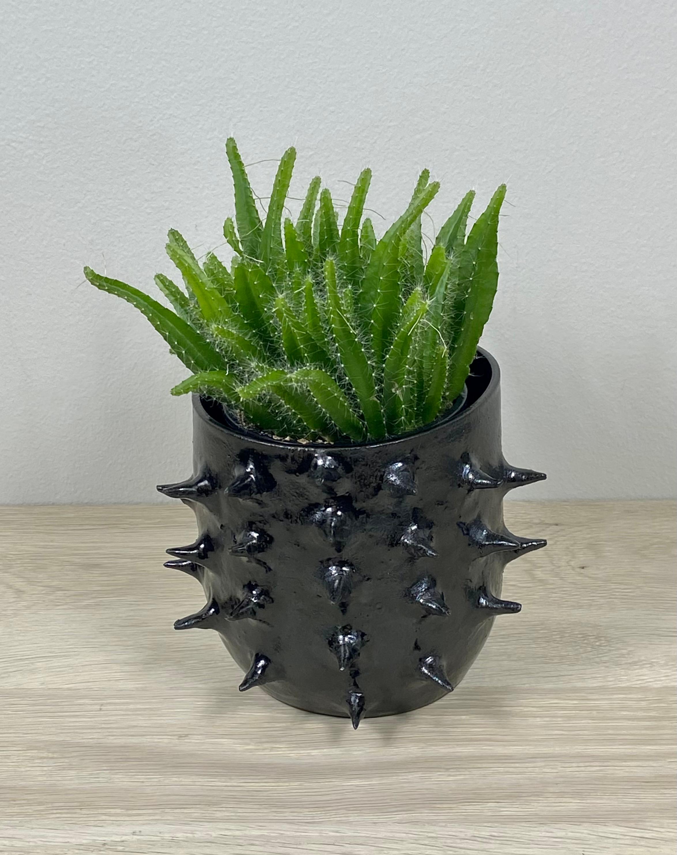 Modern Spiky Ceramic Planter/Bowl with Metallic Glaze For Sale