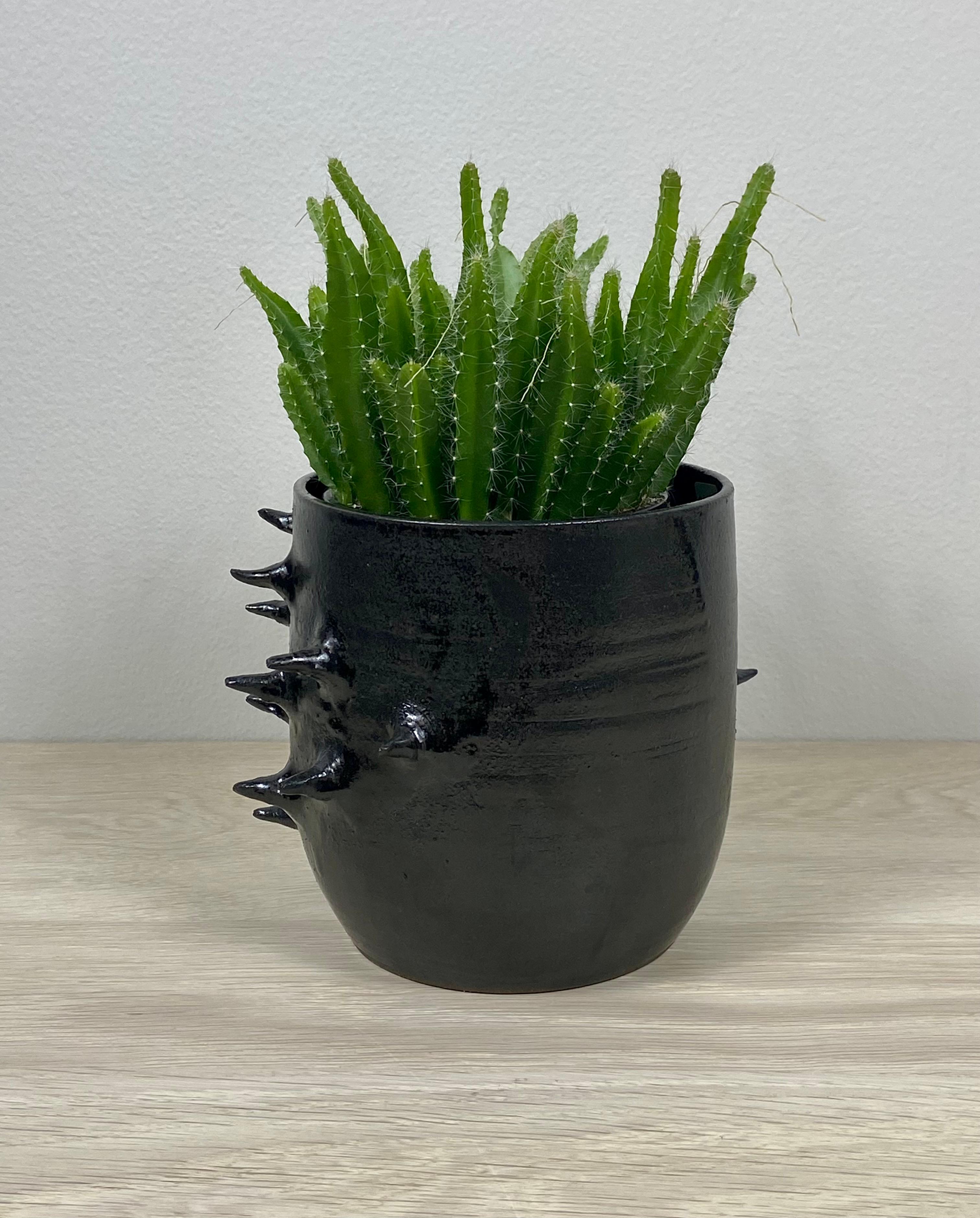 Hand-Carved Spiky Ceramic Planter/Bowl with Metallic Glaze For Sale