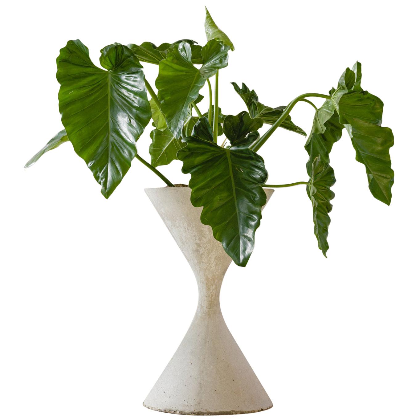 Spindel Planter by Willy Guhl, Produced by Eternit Brazil, 1960s