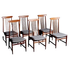 Dining Room Chairs