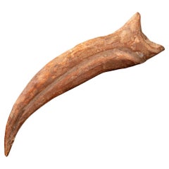 Antique Spinosaurus Hand Claw // 6-1/2" Long // Cretaceous Period