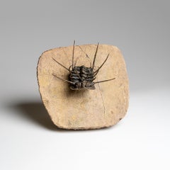 Spiny Ceratarges Trilobite Fossil sur Matrix du Maroc (299,6 grammes)