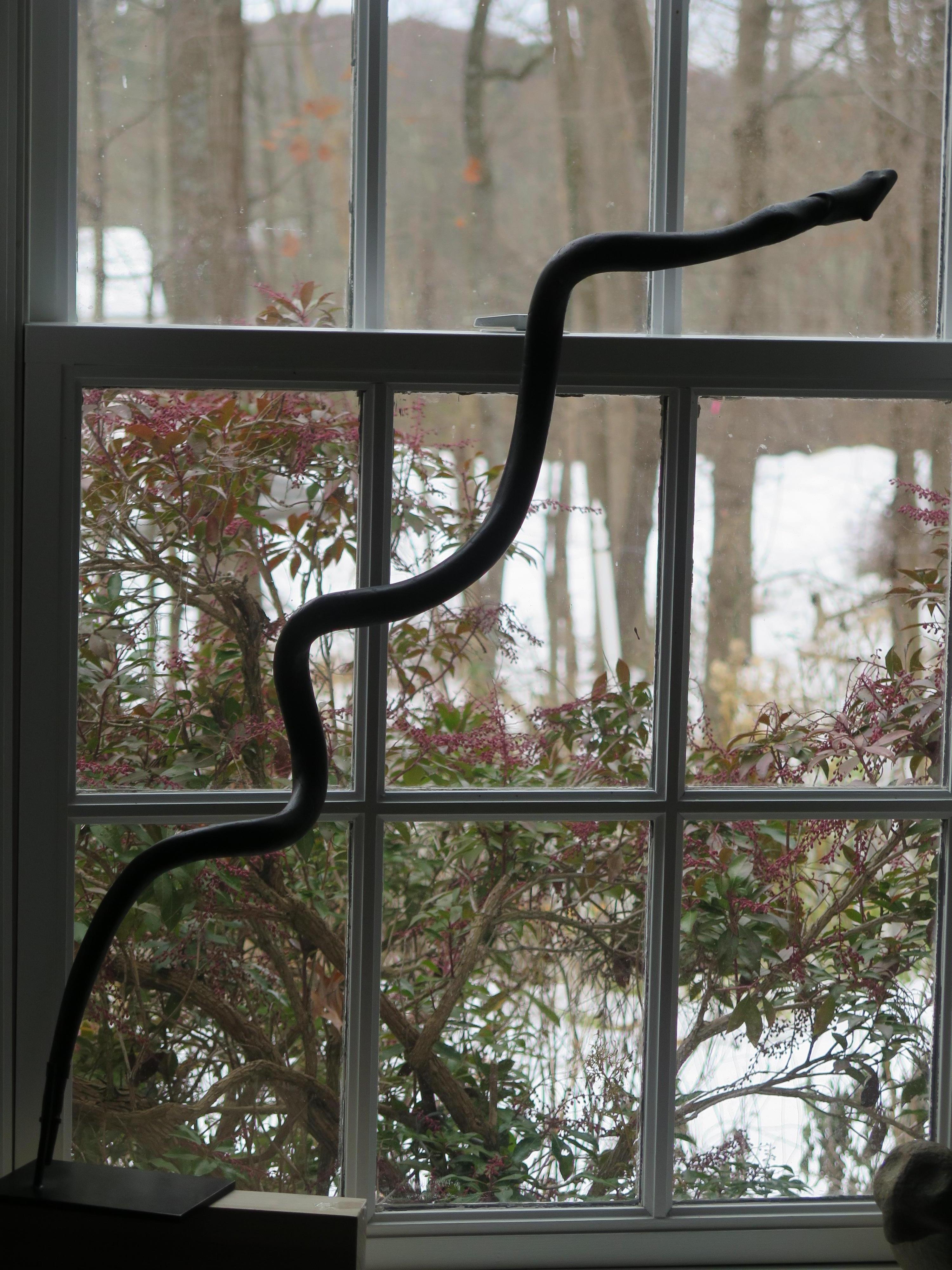 Spiral Cane with Snake Catching Frog Folk Art In Good Condition For Sale In New York, NY