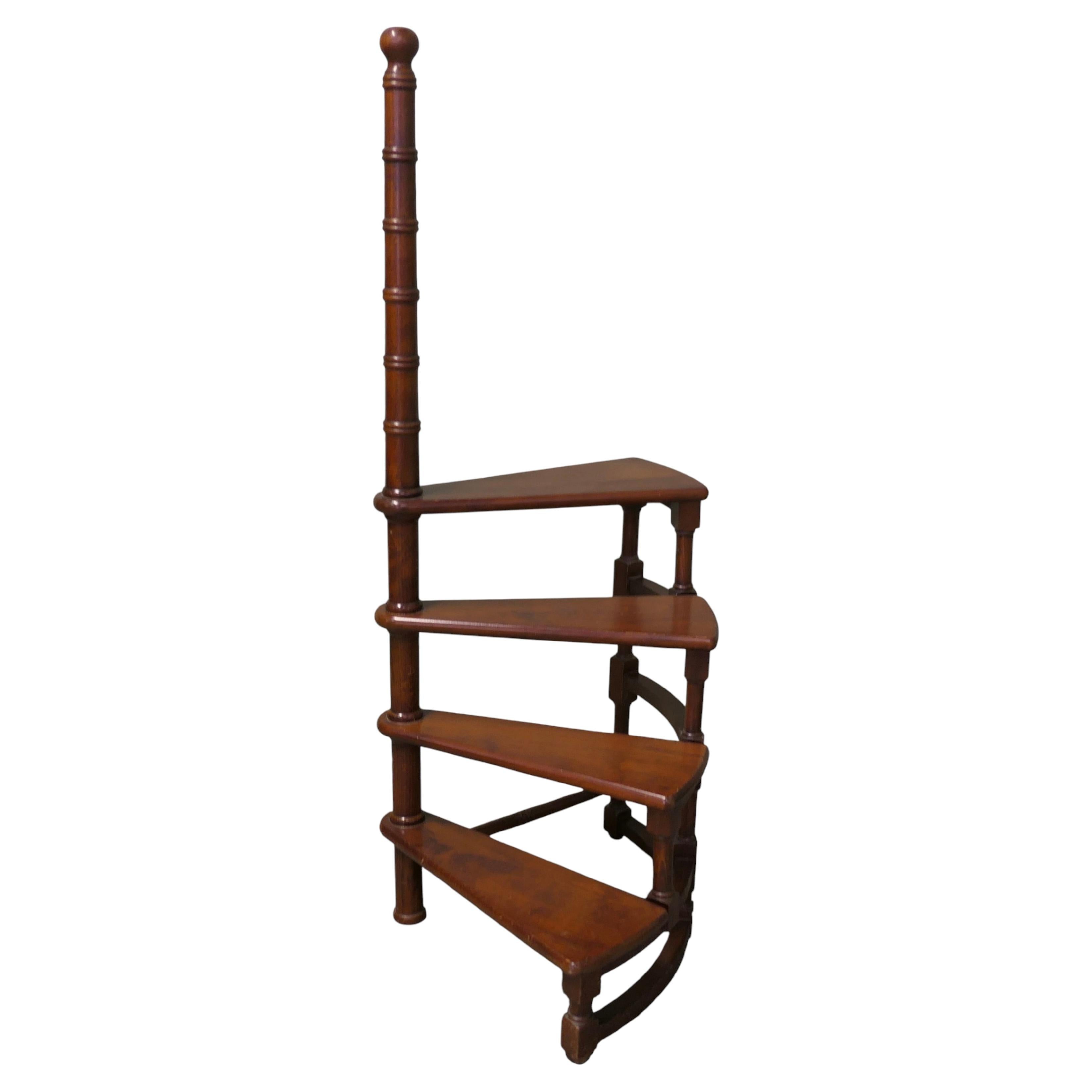 What is the ladder in a library called?