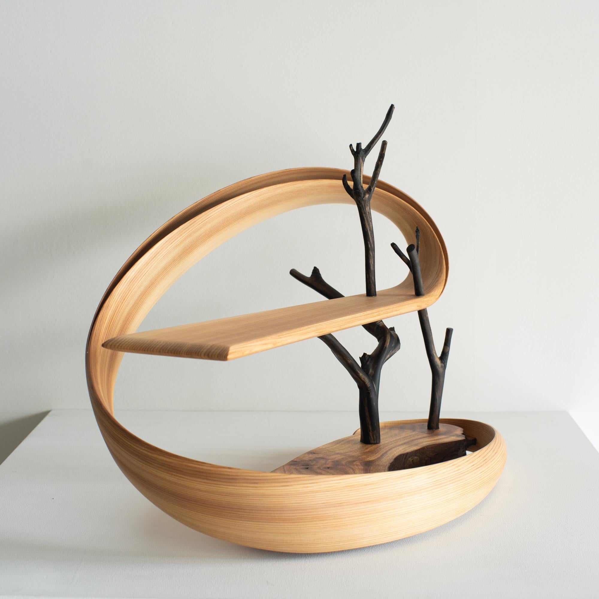 Modern Spiral6 Kenta Hirai Japanese Contemporary Bentwood Sculpture For Sale