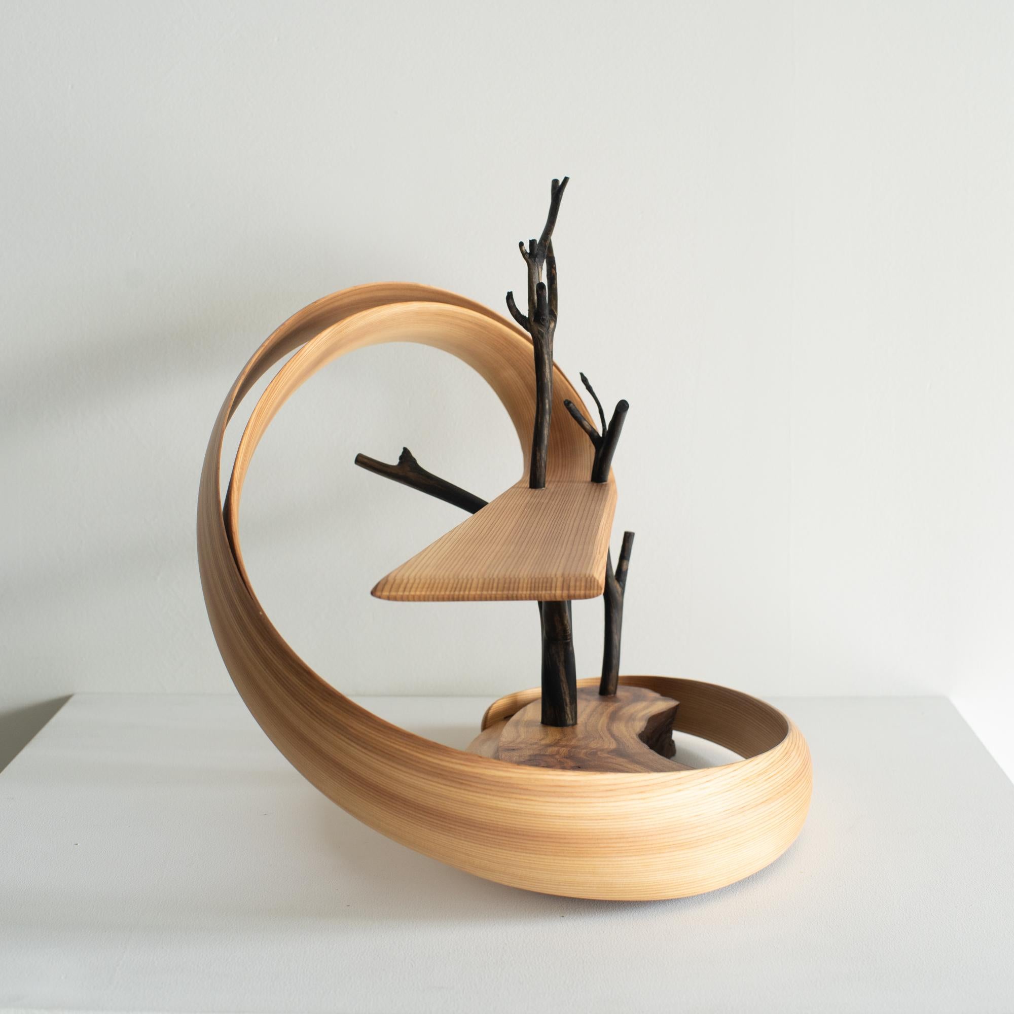 Spiral6 Kenta Hirai Japanese Contemporary Bentwood Sculpture In New Condition For Sale In Shibuya-ku, Tokyo