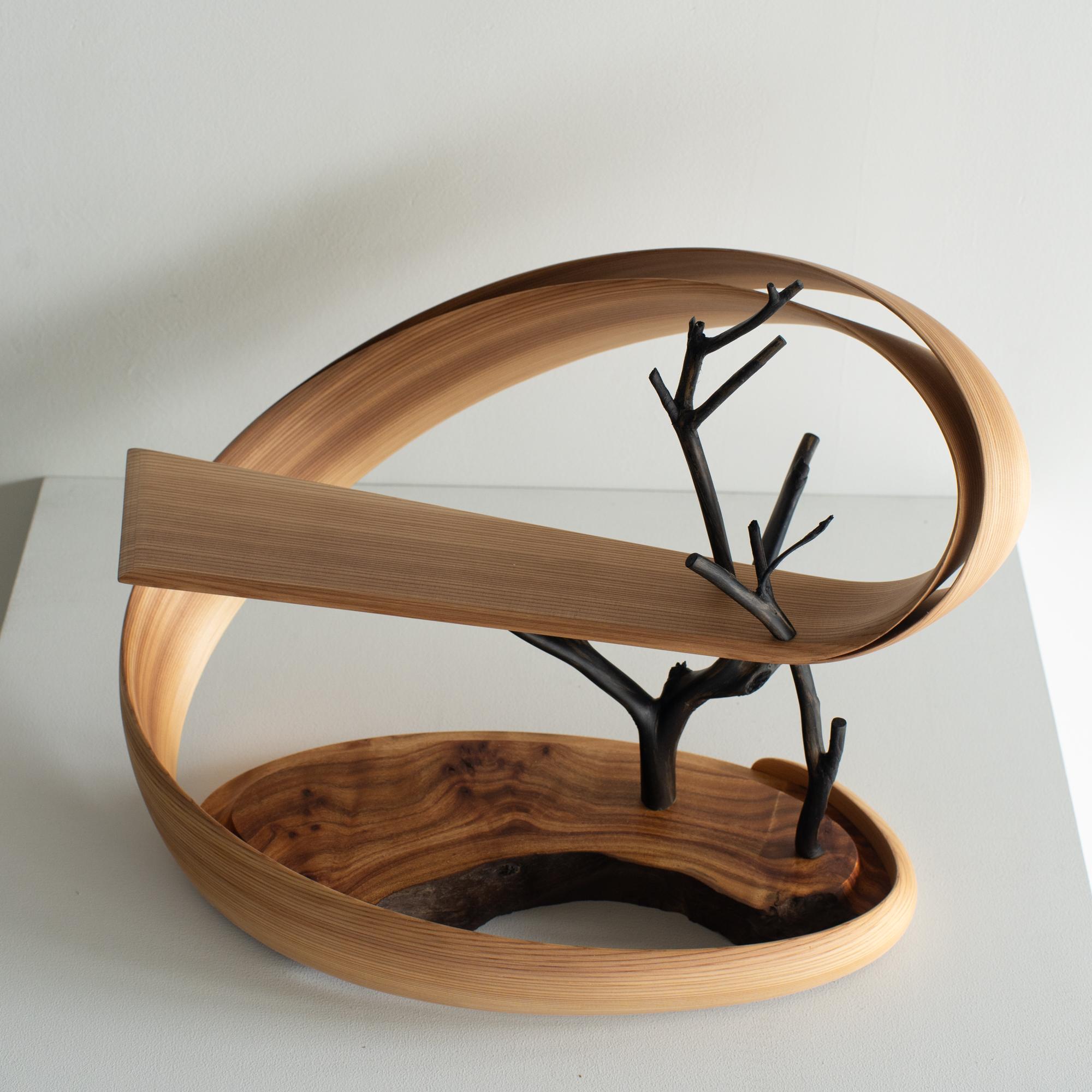 Spiral6 Kenta Hirai Japanese Contemporary Bentwood Sculpture For Sale 2