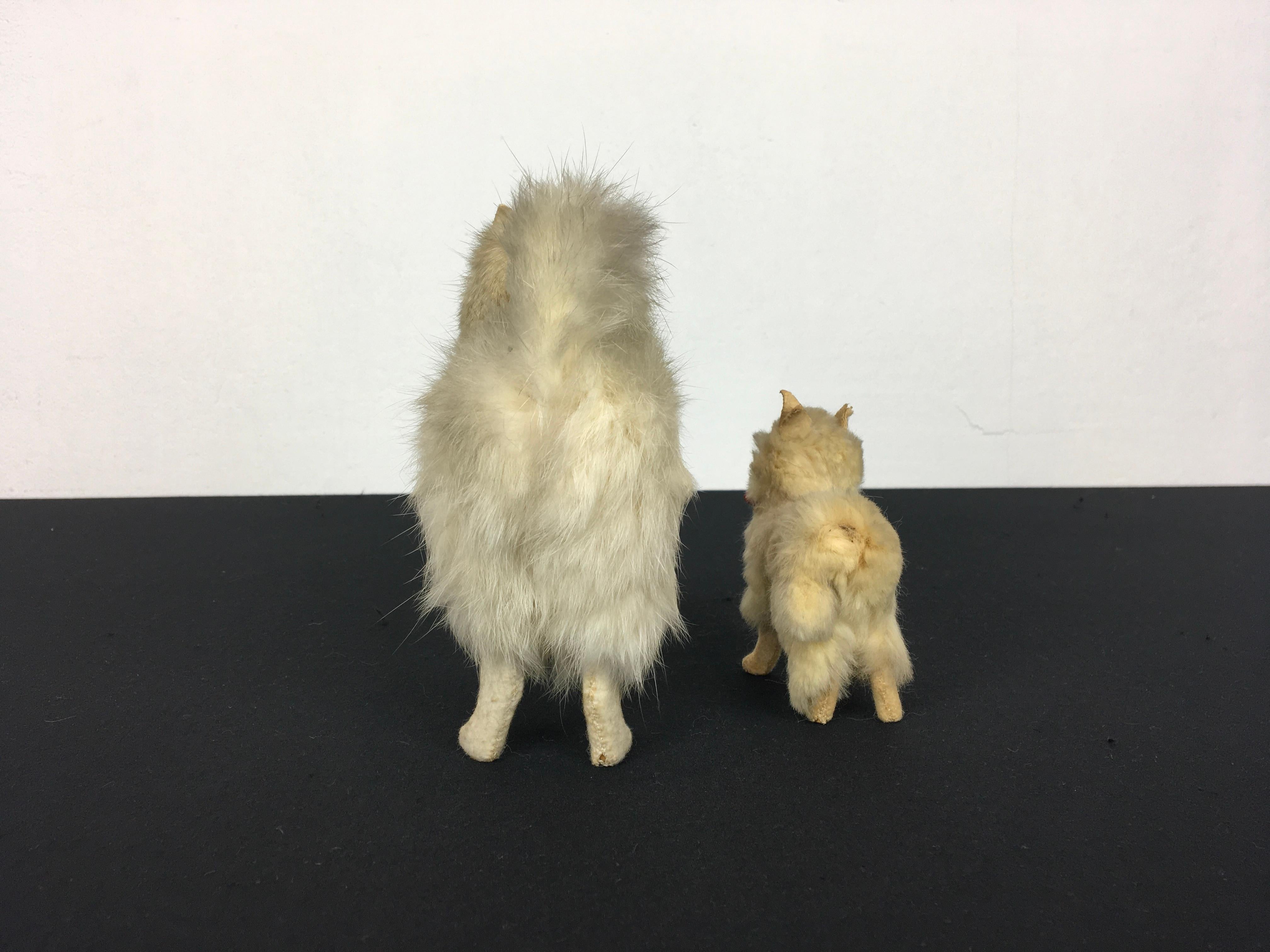 Spitz Pommerische Salon-Hundepuppen für Jumeau-Puppe, Kestner-Puppe im Angebot 4