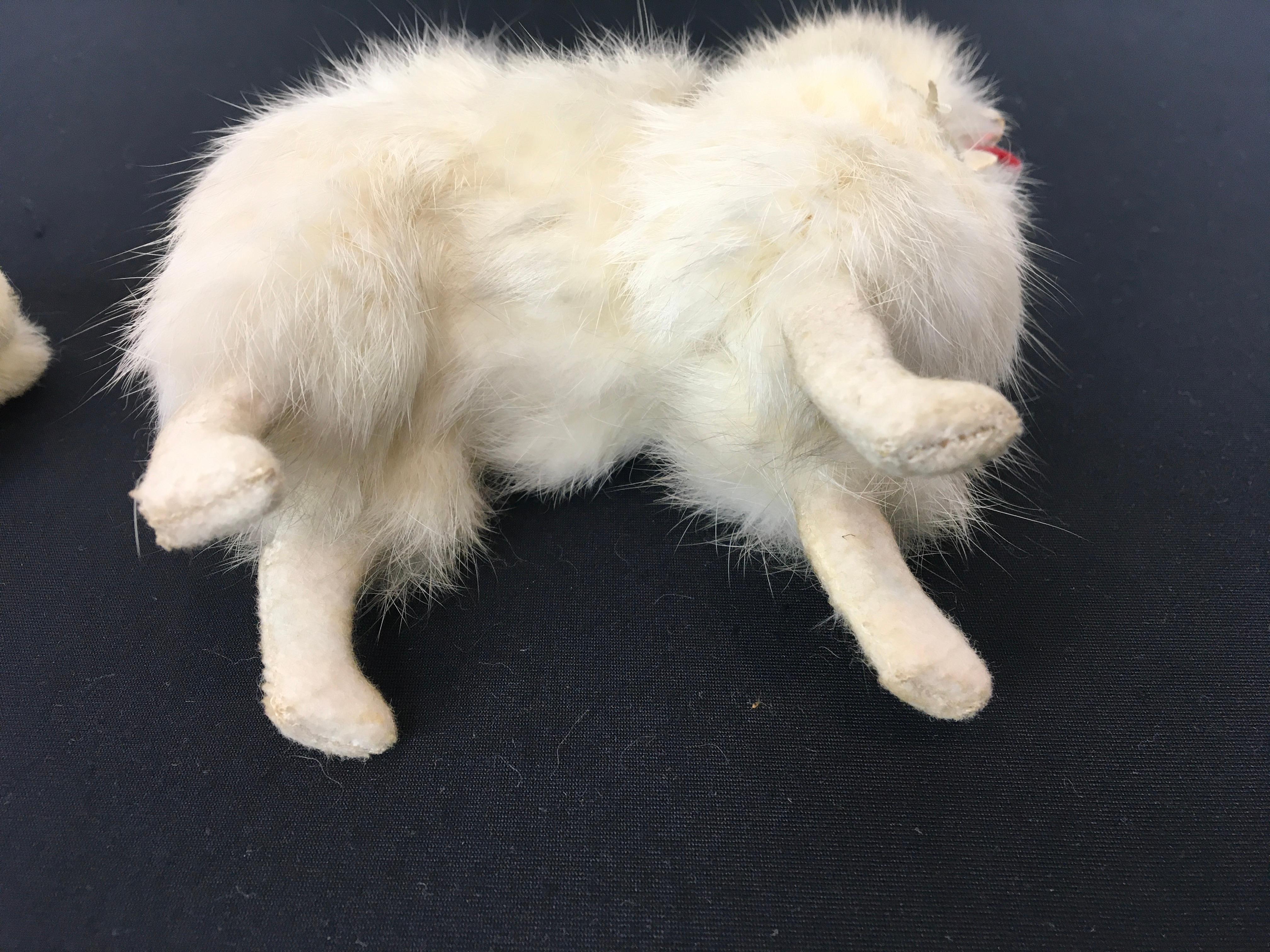 Spitz Pommerische Salon-Hundepuppen für Jumeau-Puppe, Kestner-Puppe im Angebot 8