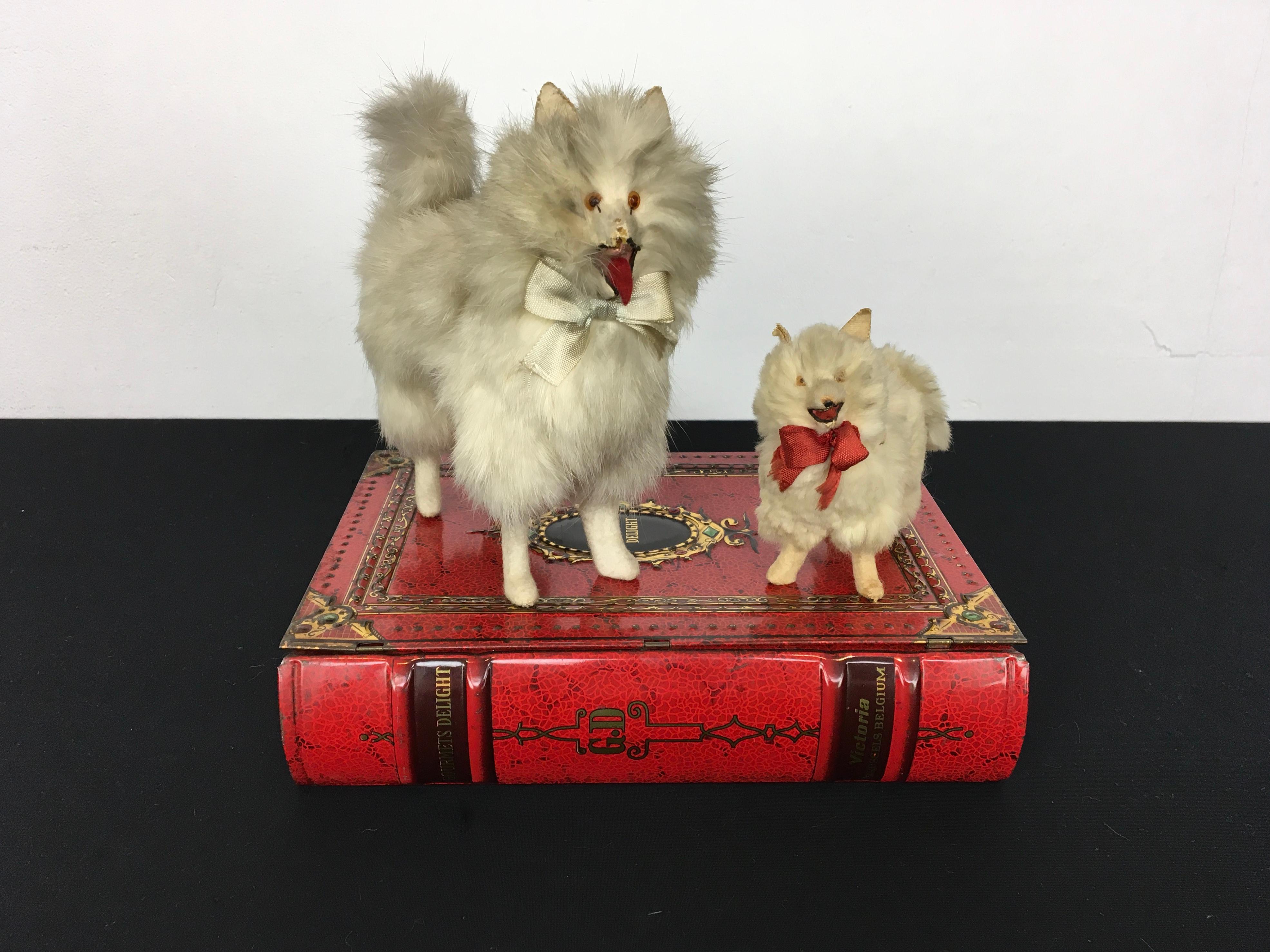 Spitz Pomeranian Salon Dog dolls for Jumeau Doll, Kestner Doll In Good Condition For Sale In Antwerp, BE