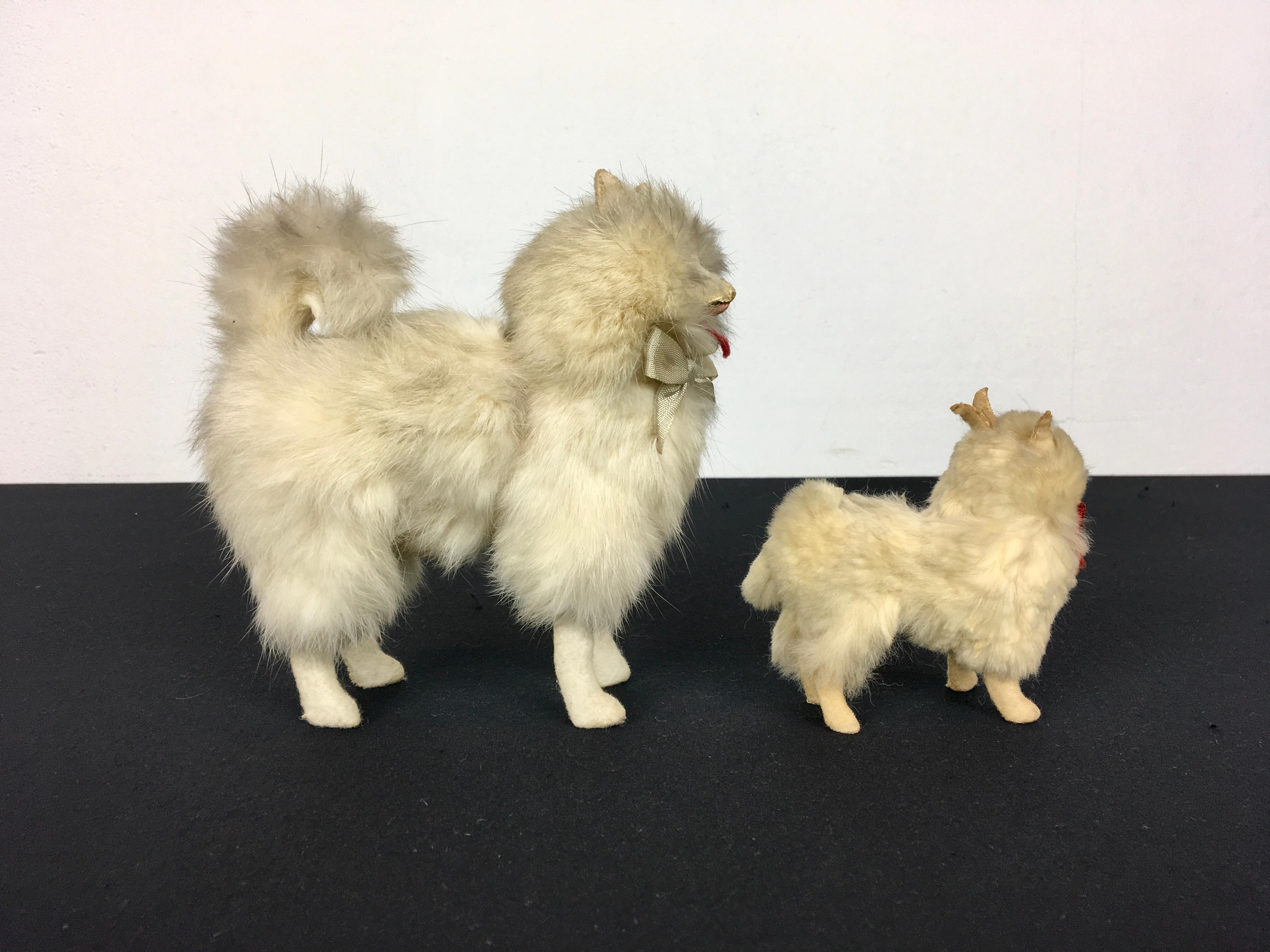 20th Century Spitz Pomeranian Salon Dog dolls for Jumeau Doll, Kestner Doll For Sale