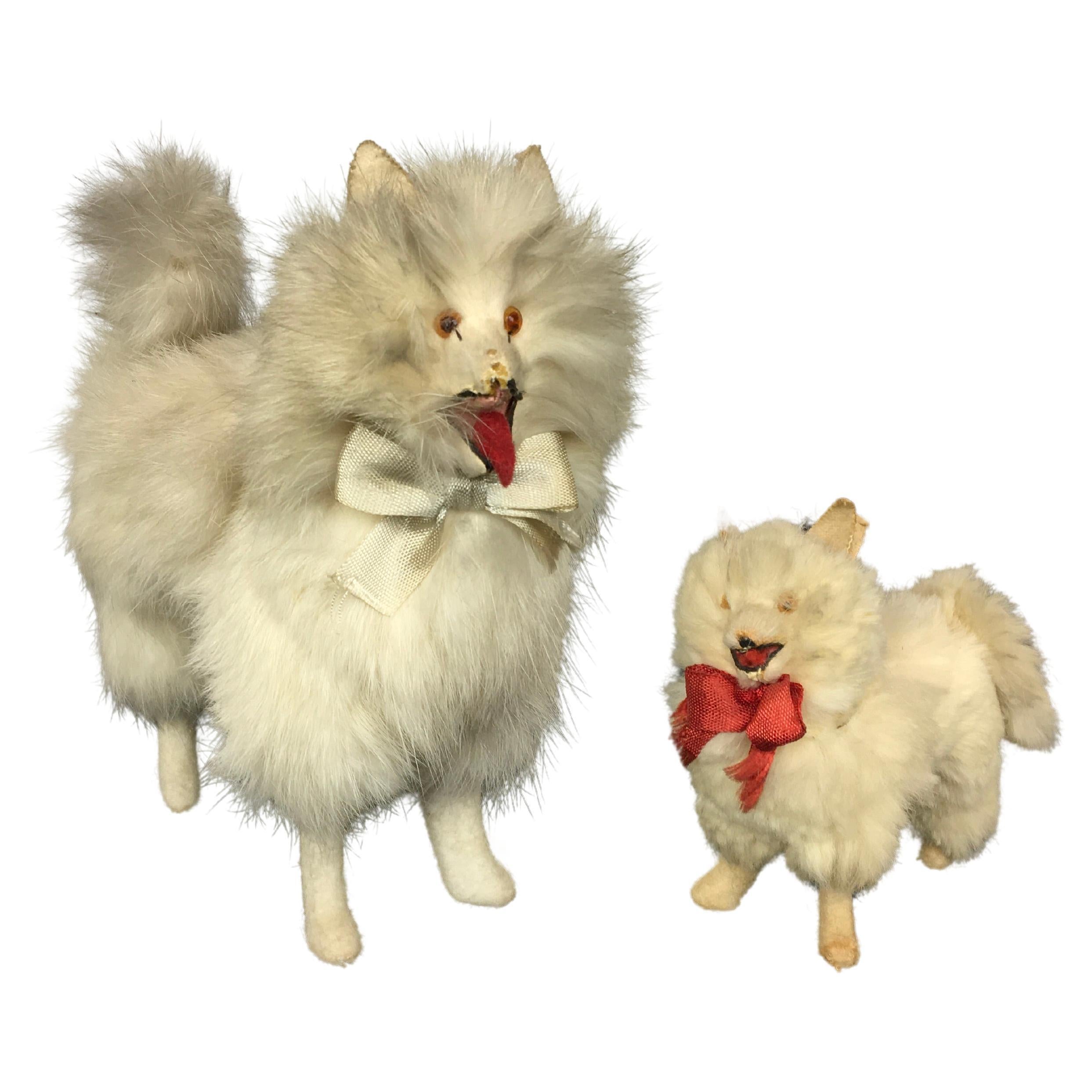 Spitz Pommerische Salon-Hundepuppen für Jumeau-Puppe, Kestner-Puppe im Angebot