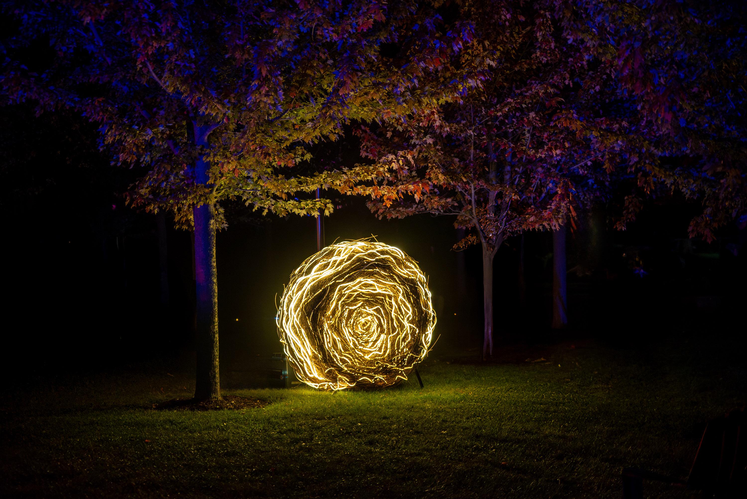 Nidium 1.5m - Sculpture interactive d'extérieur, LED, inspirée de la Nature