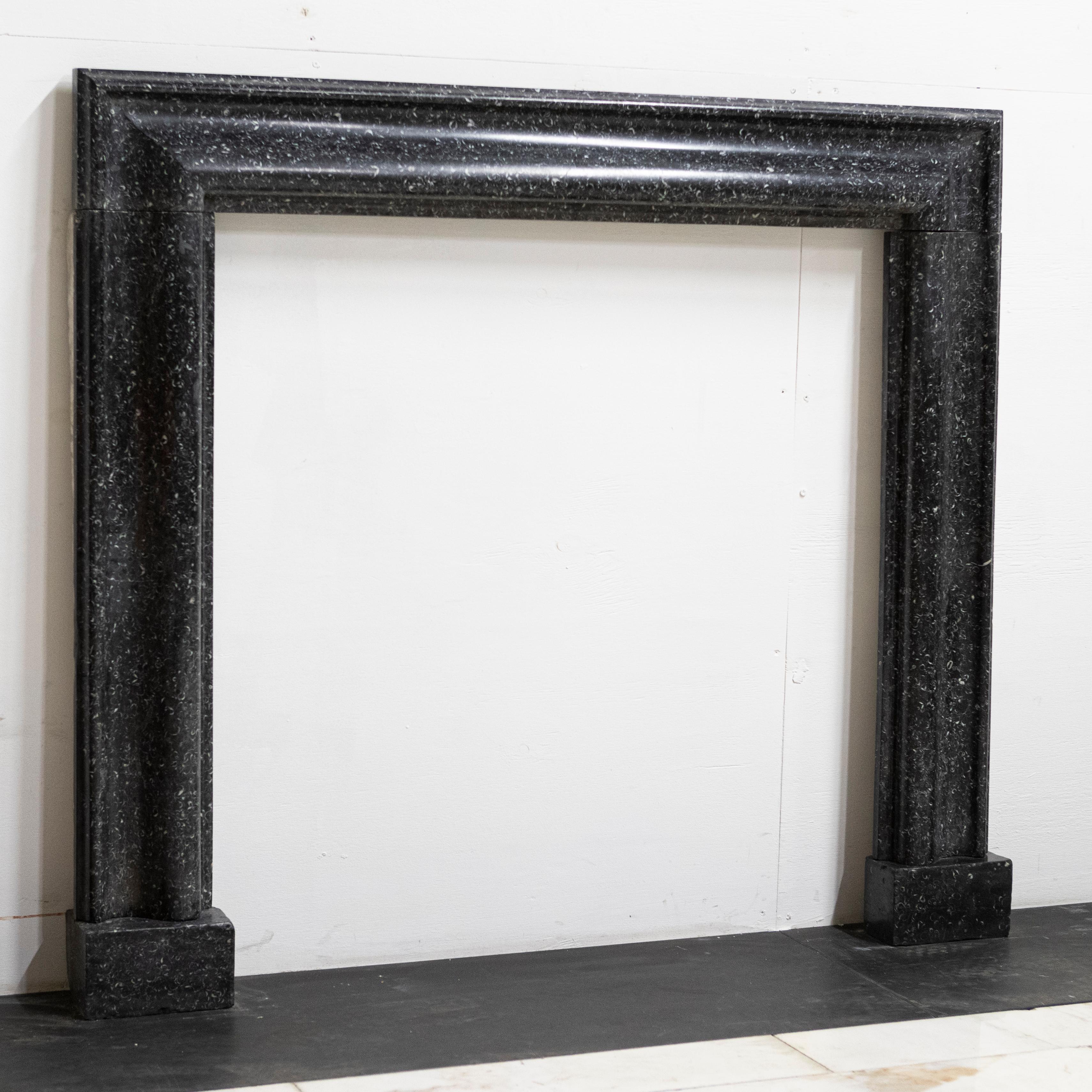 Splendid Antique 18th Century Kilkenny Marble Bolection Fire For Sale 2