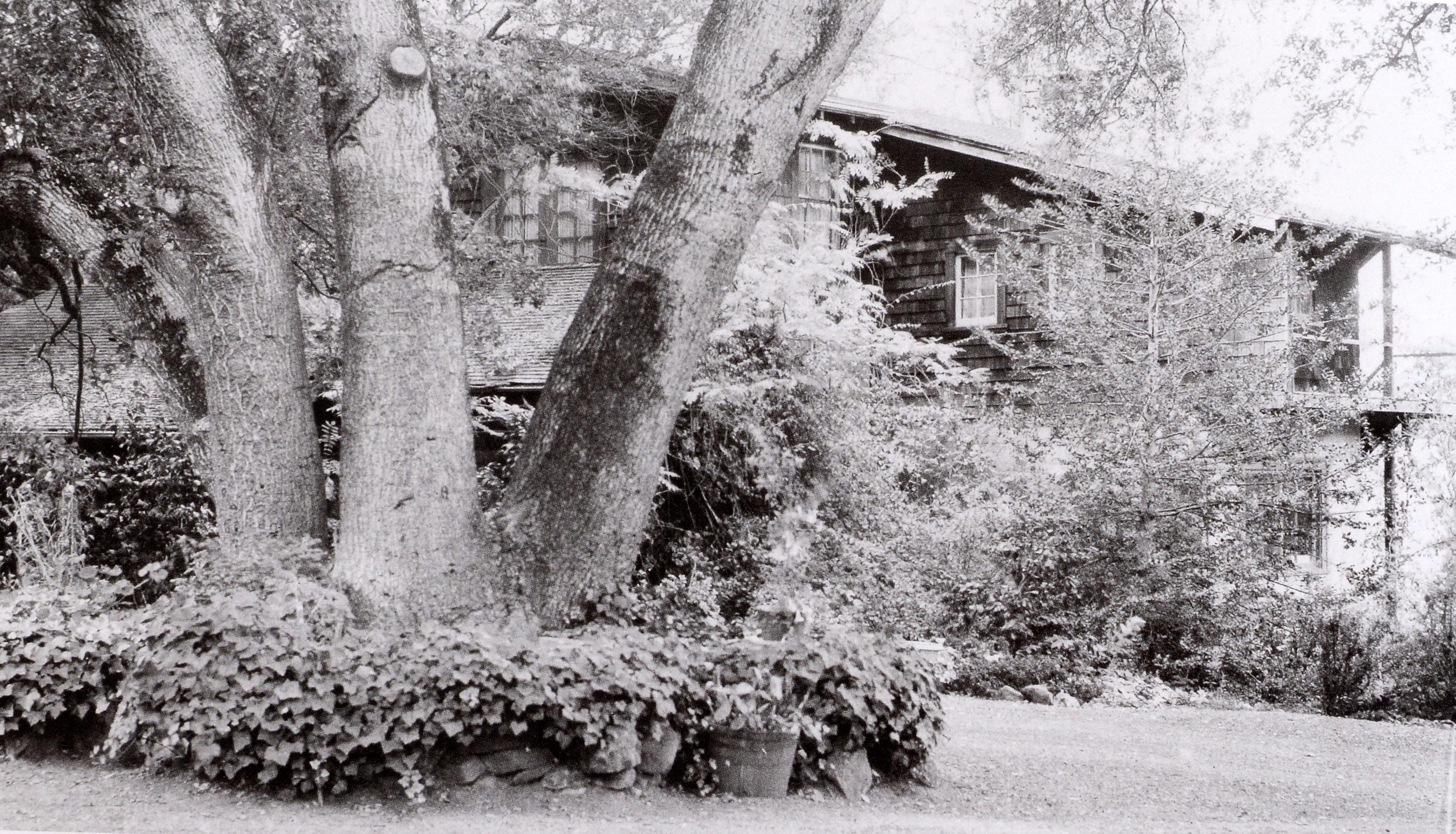 Lo splendido disordine della bellezza: I ragazzi, le piastrelle, la gioia di Oak Oak 1st in vendita 9
