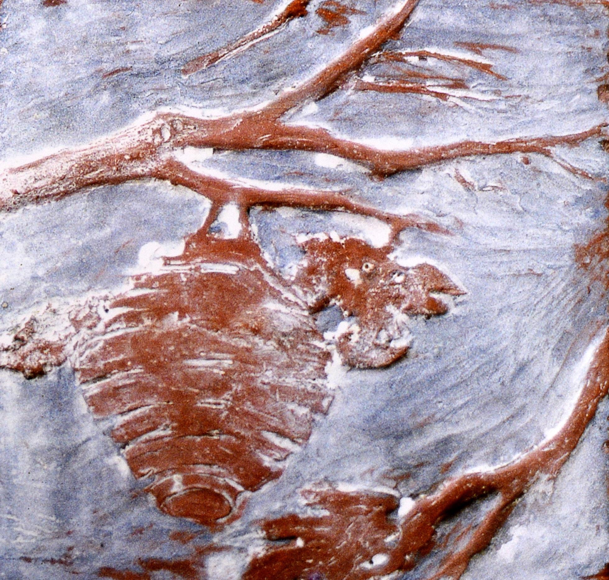 Lo splendido disordine della bellezza: I ragazzi, le piastrelle, la gioia di Oak Oak 1st in vendita 3
