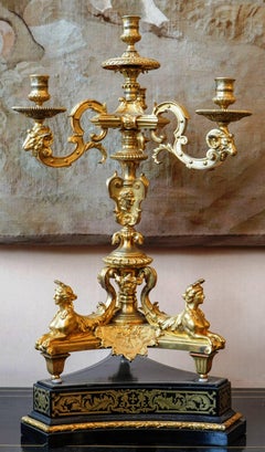 Splendid Pair of Candelabras, Gilt-Bronze, Louis XIV Style, France, circa 1880