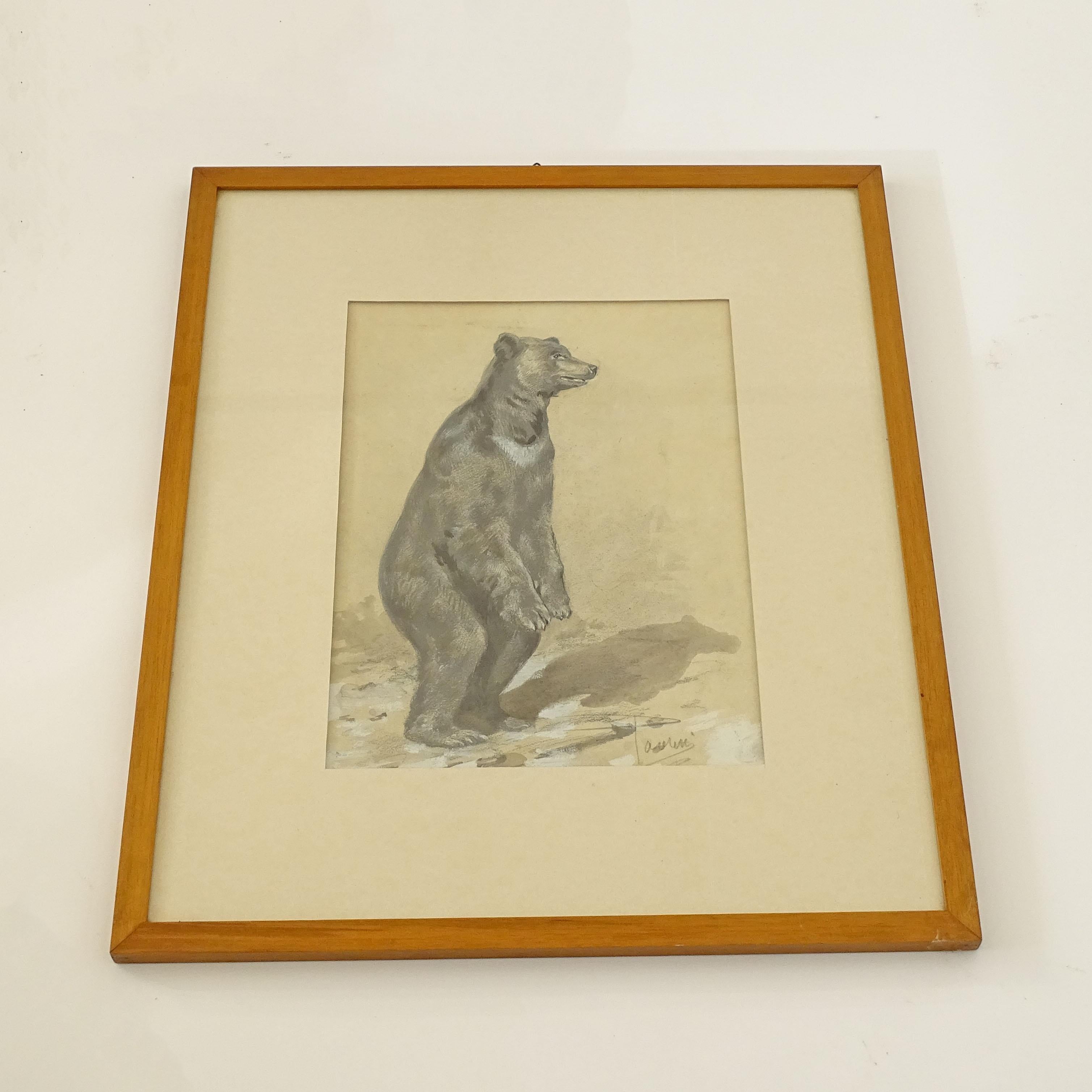 Art Deco Splendid Pencil and Paint Drawing Of a Standing Bear, Italy 1920s For Sale