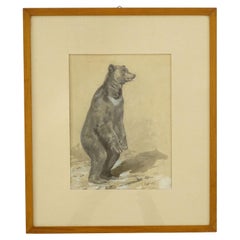 Splendid Pencil and Paint Drawing Of a Standing Bear, Italy 1920s