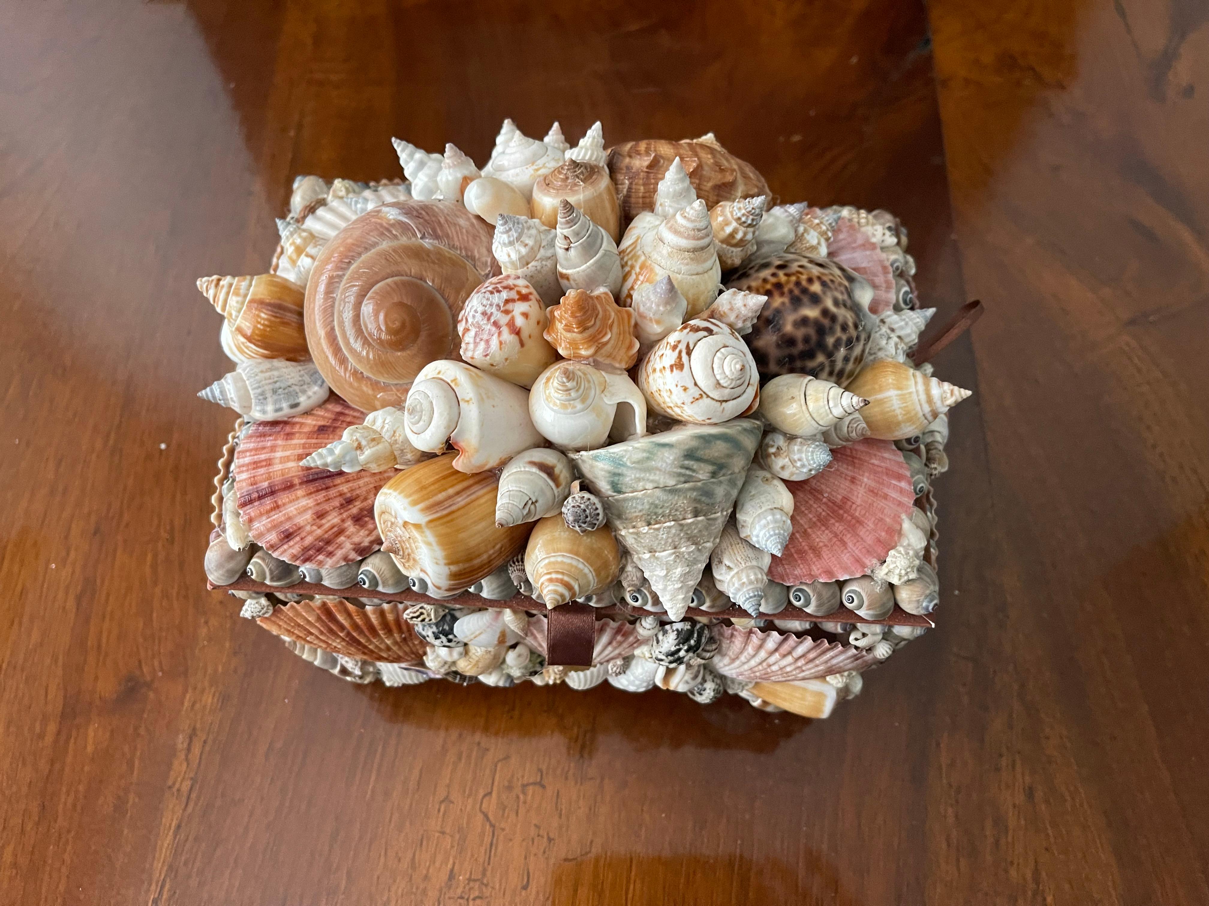 Organic Modern Splendid Sea Shell Encrusted Treasure Box Maitland Style For Sale