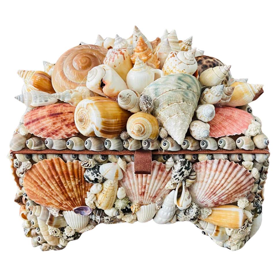 Treasure Shell Large Sea Shell Encrusted Redmile Style Jewelry Treasure Box For Sale ...